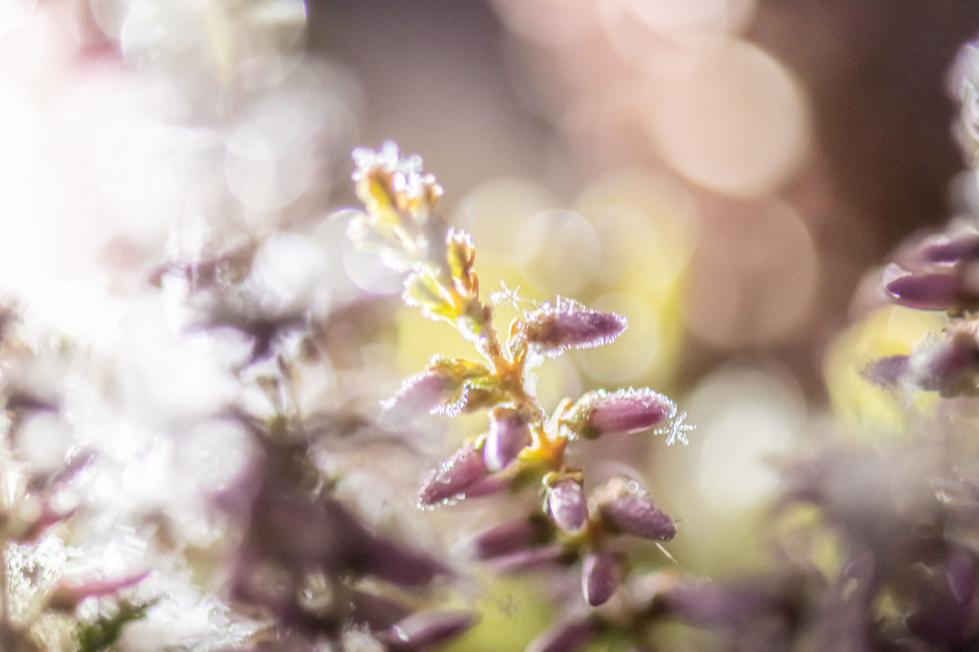 Valokuvaaja: Leena Rissanen