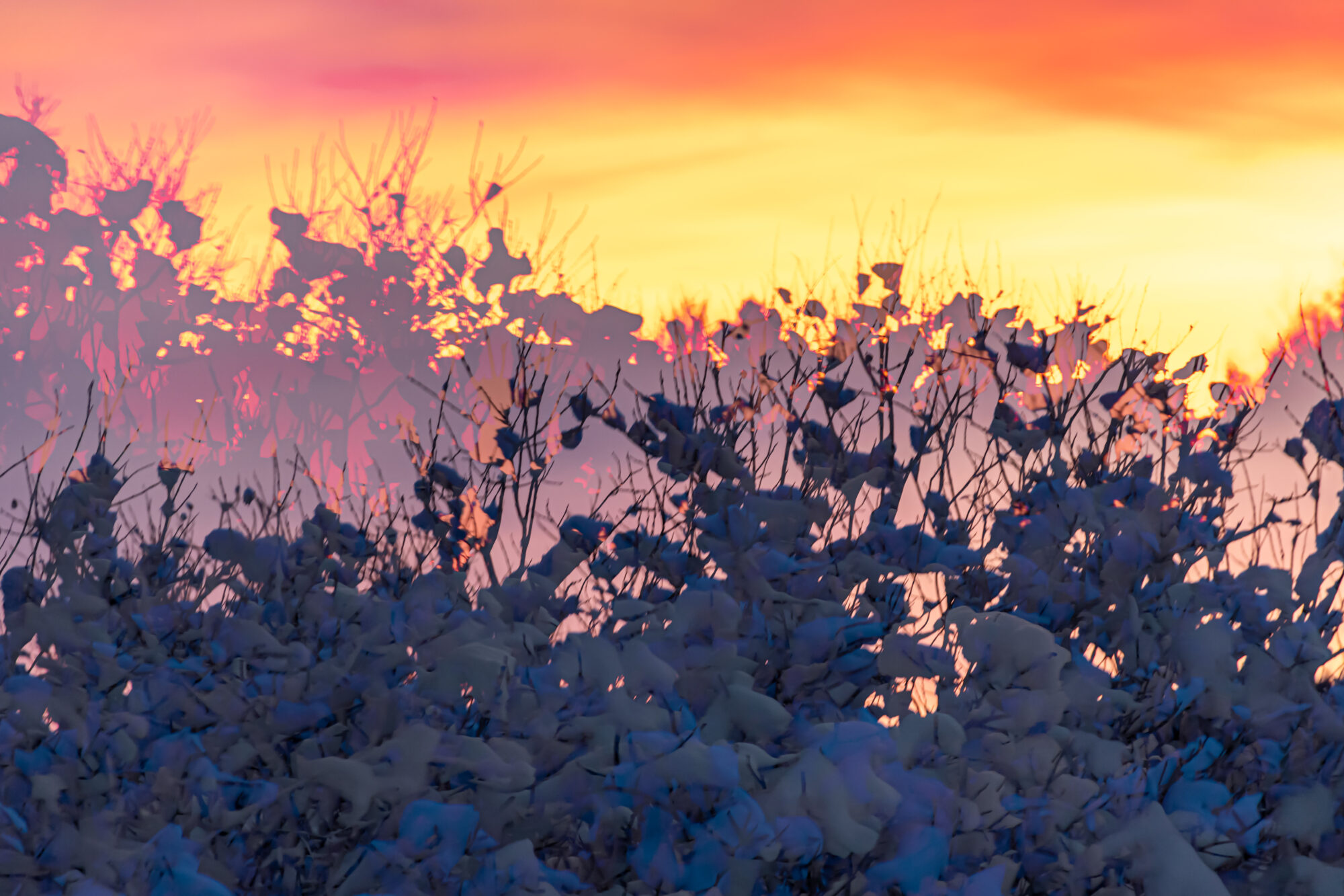 Valokuvaaja: Leena Rissanen