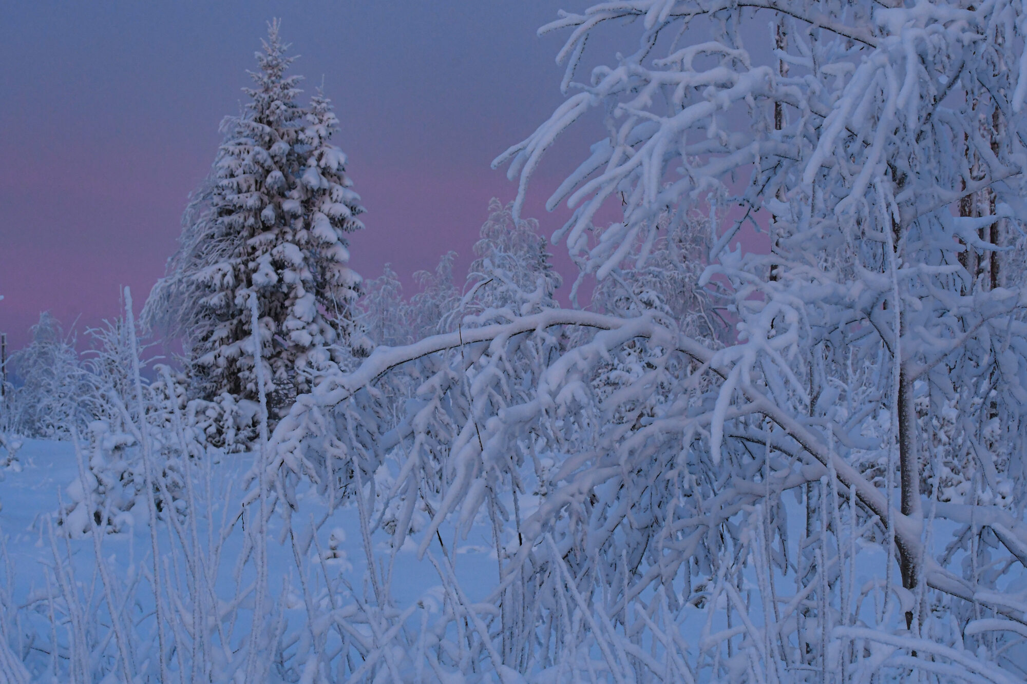 Valokuvaaja: Maija savolainen