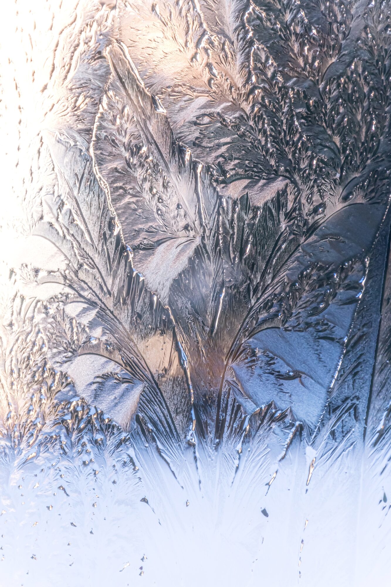 Valokuvaaja: Leena Rissanen