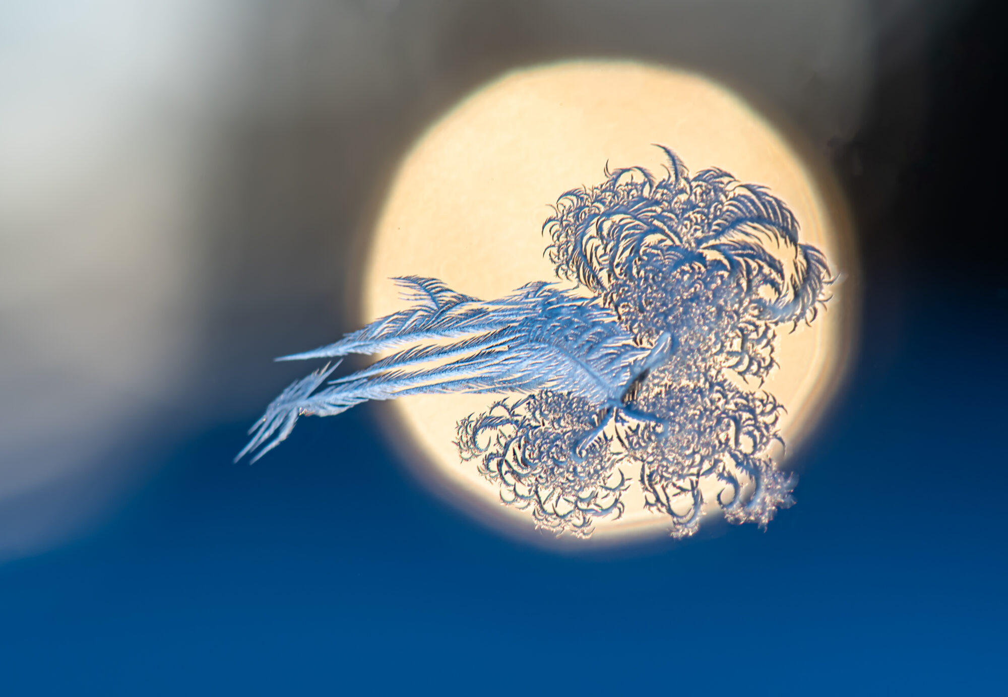 Valokuvaaja: Leena Rissanen