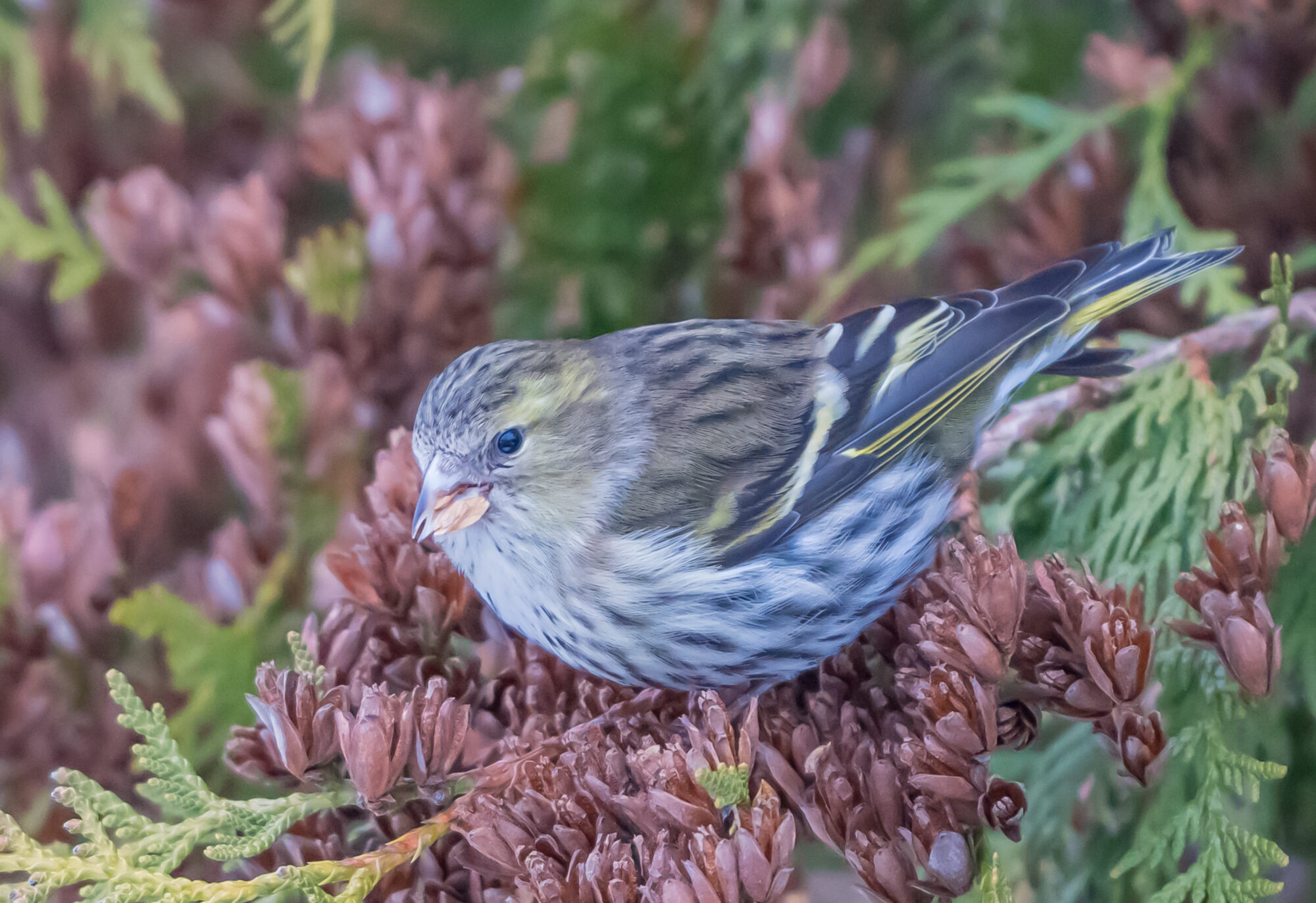 Valokuvaaja: Markku Saarinen