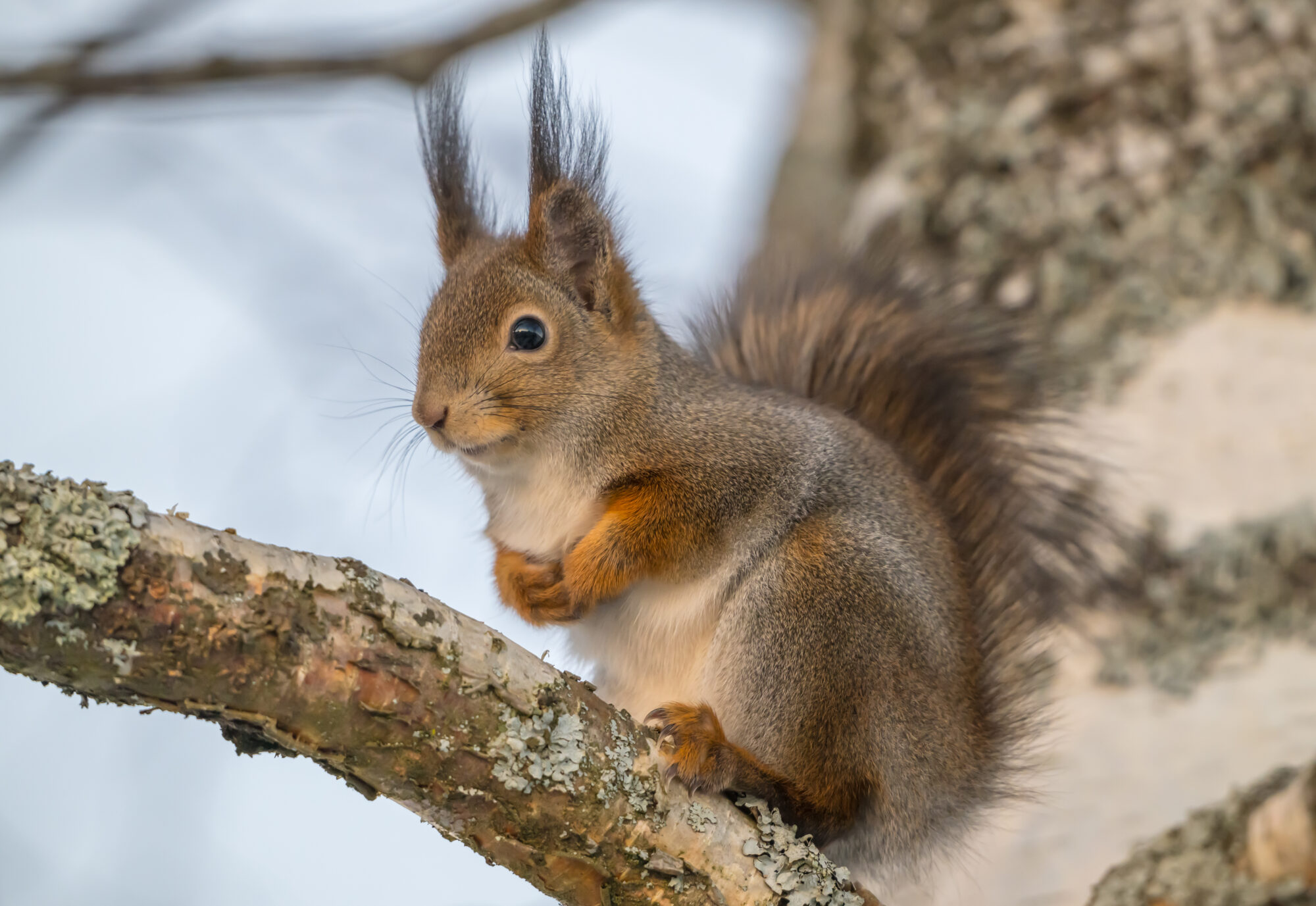 Valokuvaaja: Markku Saarinen