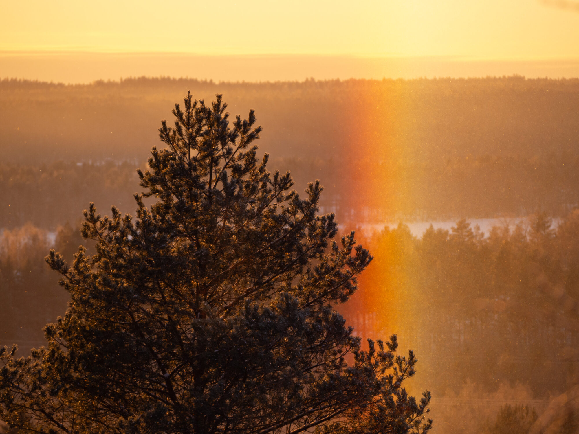 Valokuvaaja: Marja Nevalainen