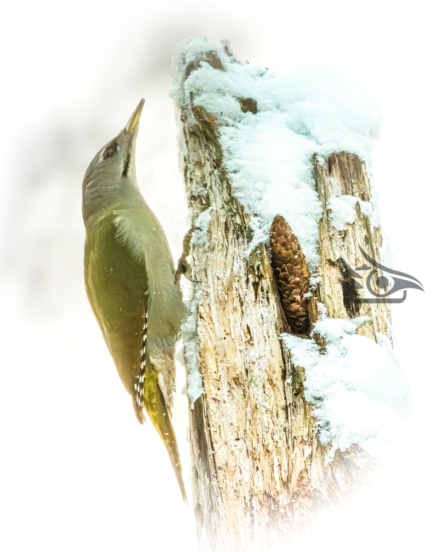 Valokuvaaja: Milla Rannila