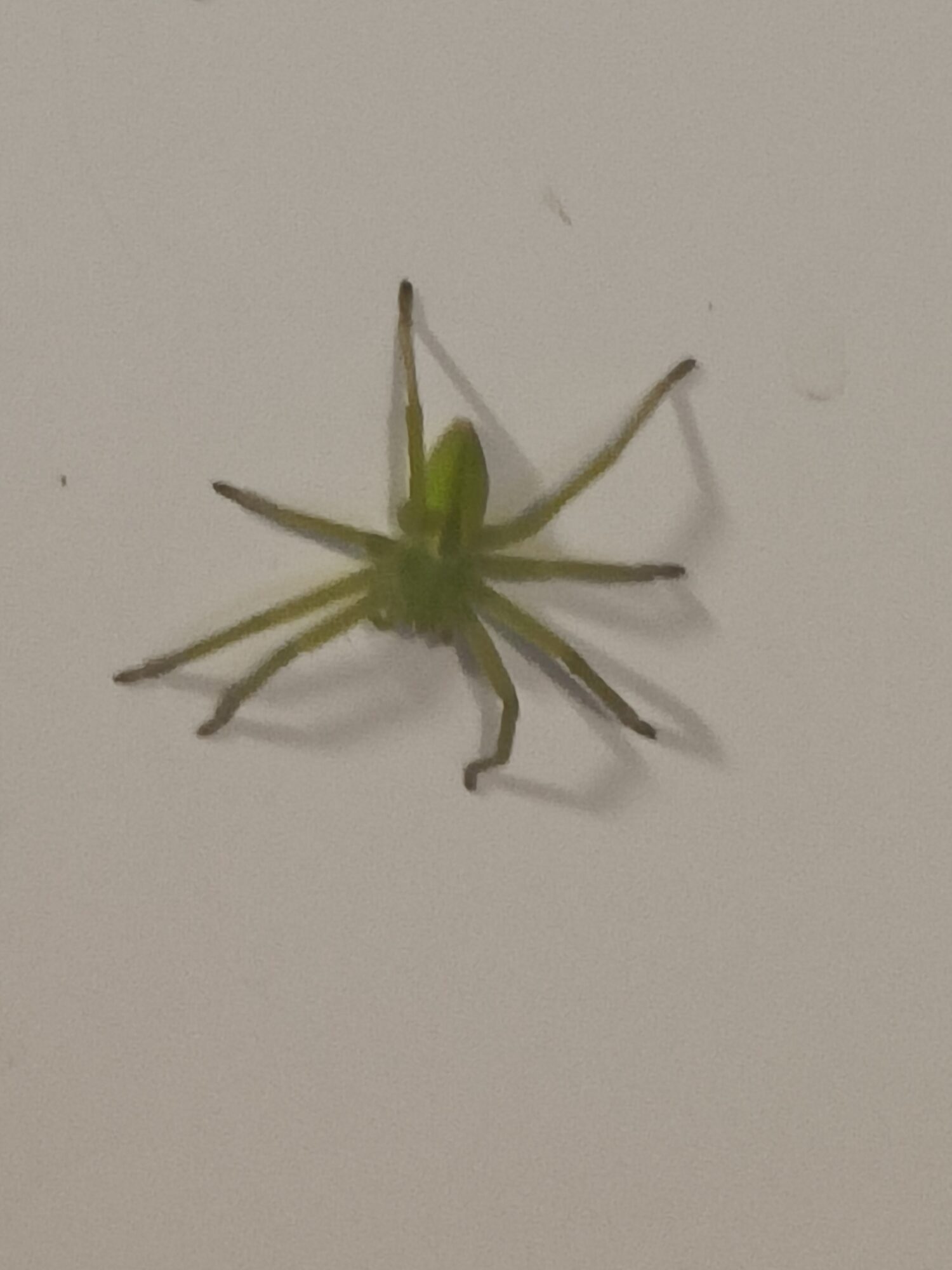 Valokuvaaja: Pirjo Sarkanen Valokuvaaja: Pirjo Sarkanen