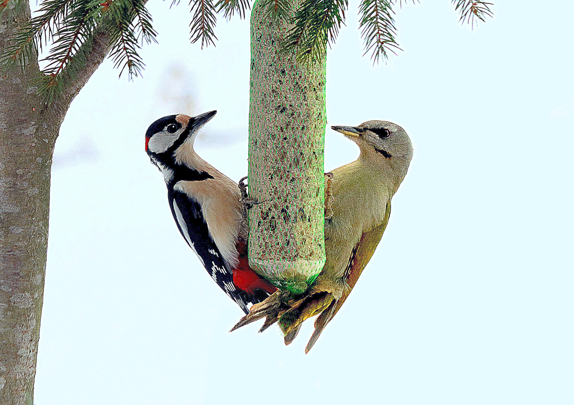 Valokuvaaja: Hannu Rasiranta
