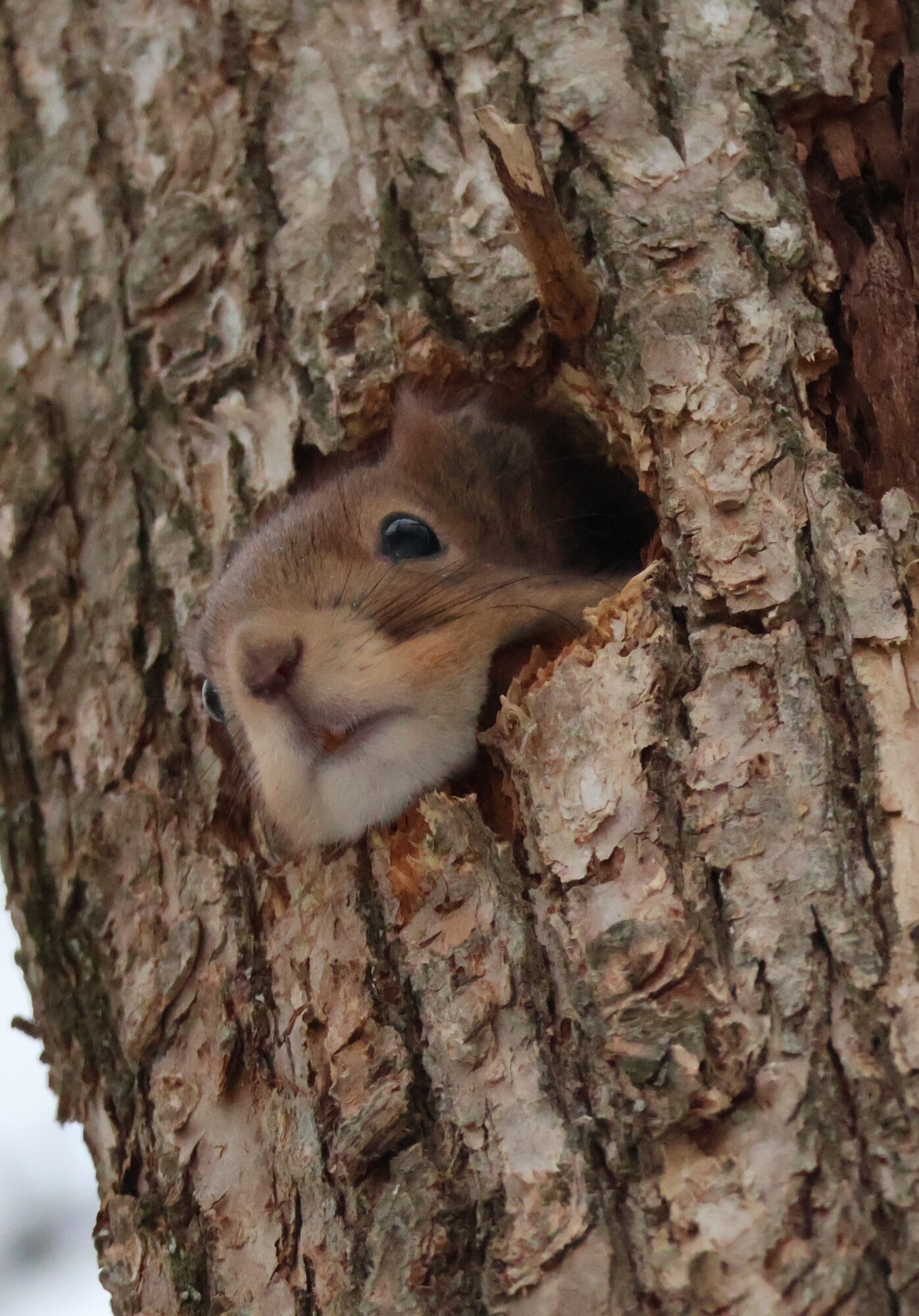 Valokuvaaja: Hanna Rönty Valokuvaaja: Hanna Rönty