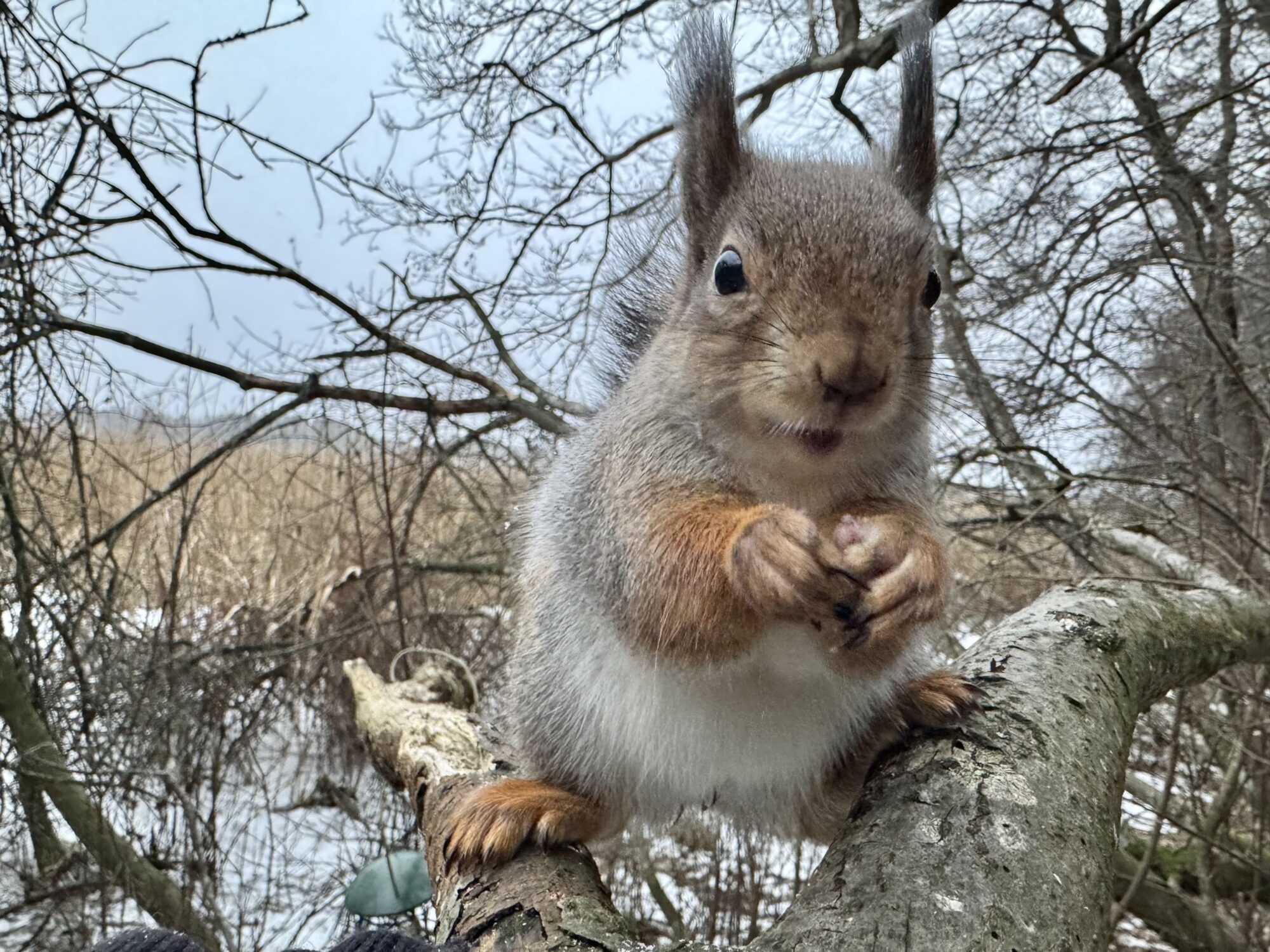 Valokuvaaja: Juhani Peltonen