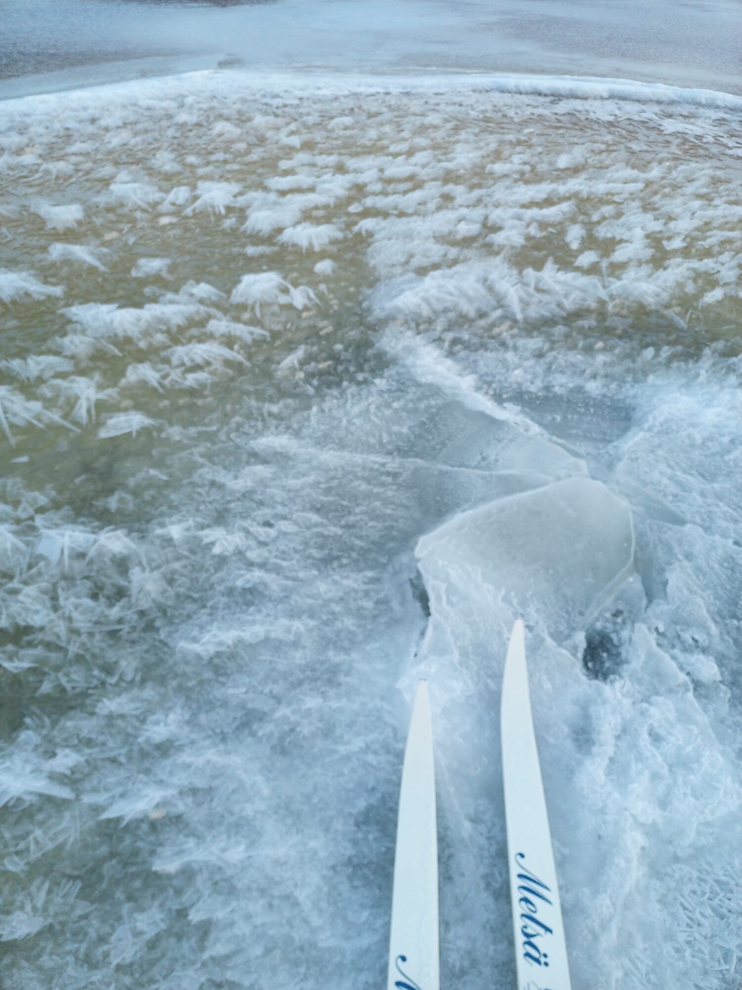 Valokuvaaja: Juha Juvonen