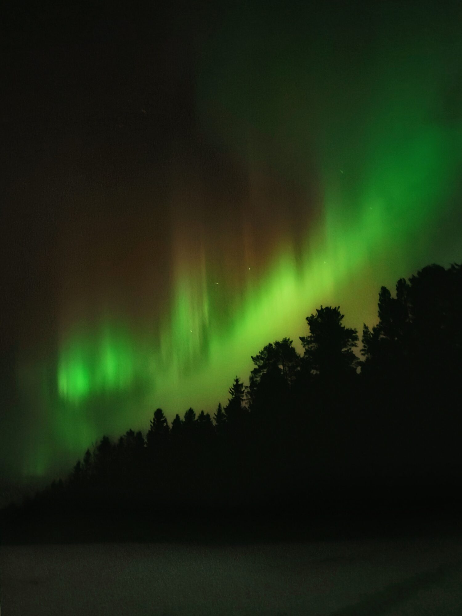 Valokuvaaja: Salla Kumpulainen