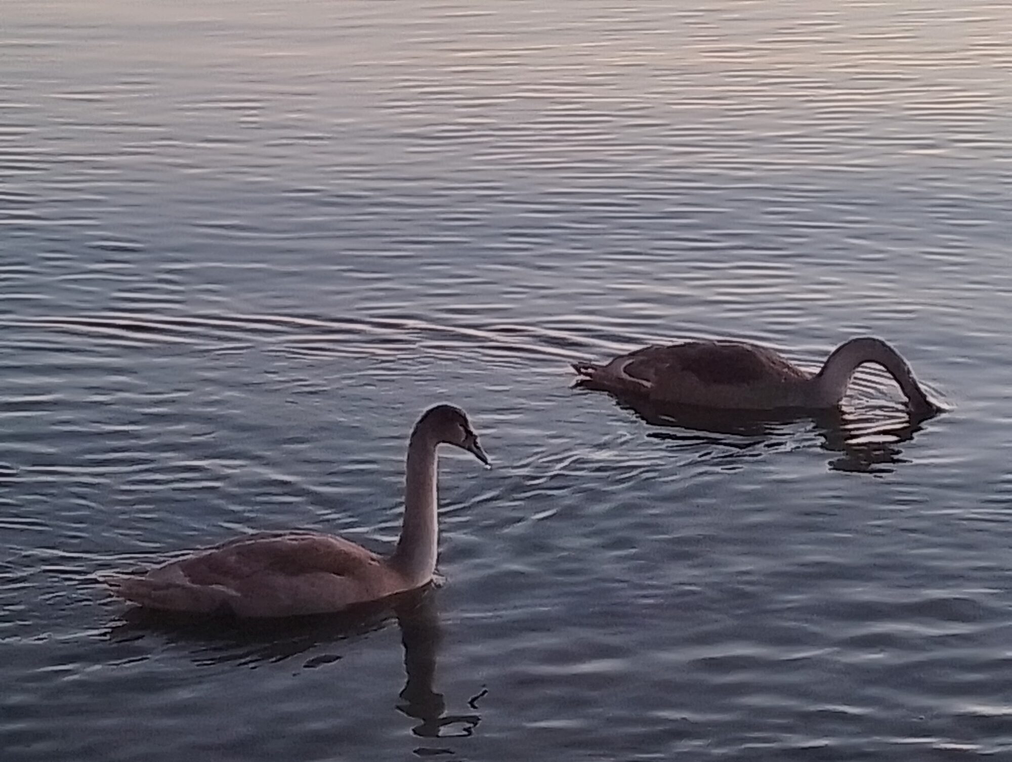 Valokuvaaja: Raija Lahtinen