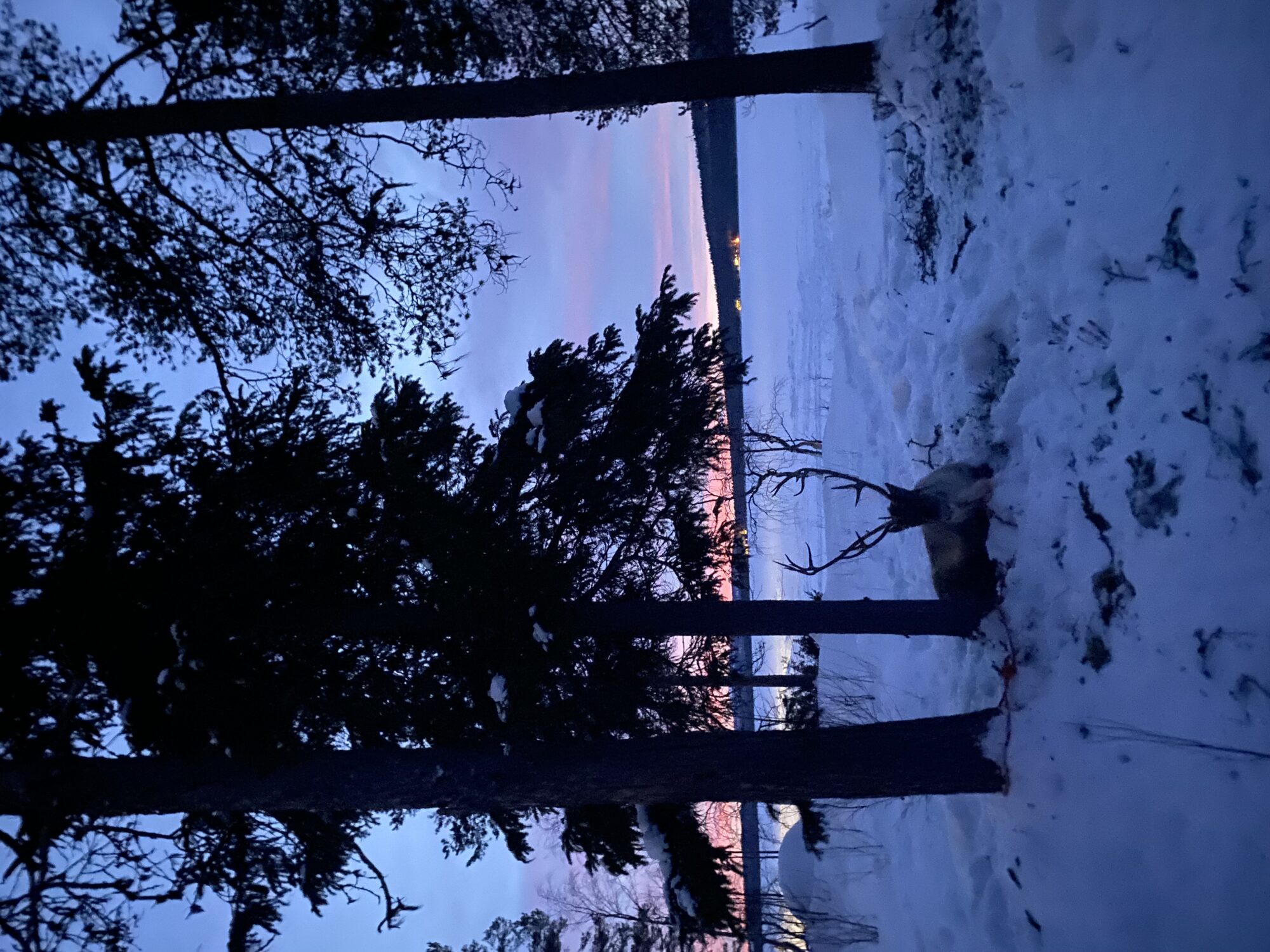 Valokuvaaja: Maija Sieppi Valokuvaaja: Maija Sieppi