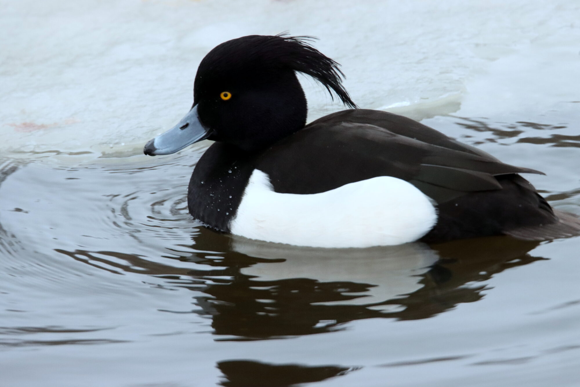 Valokuvaaja: Irja Lehtinen