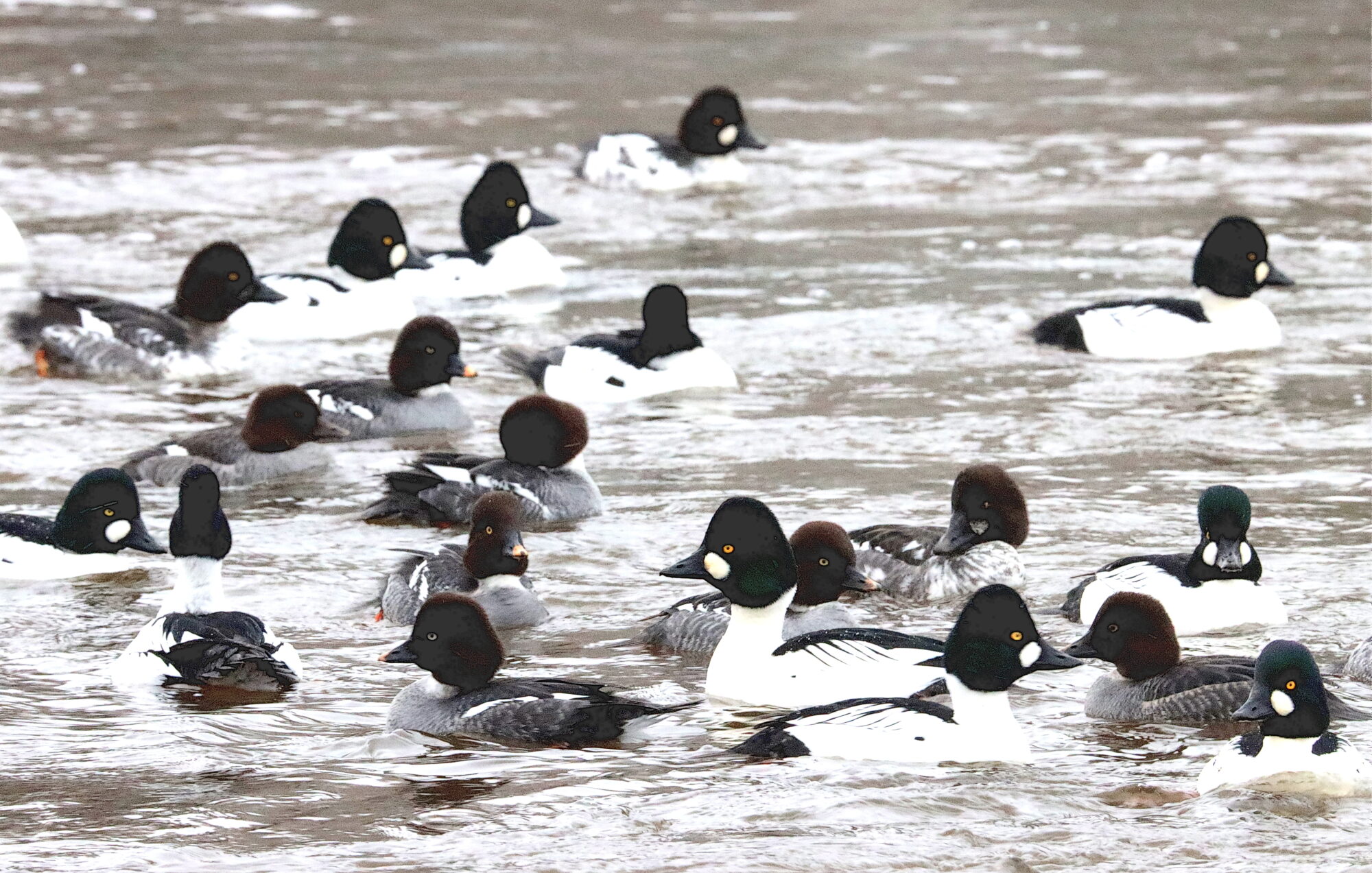 Valokuvaaja: Irja Lehtinen