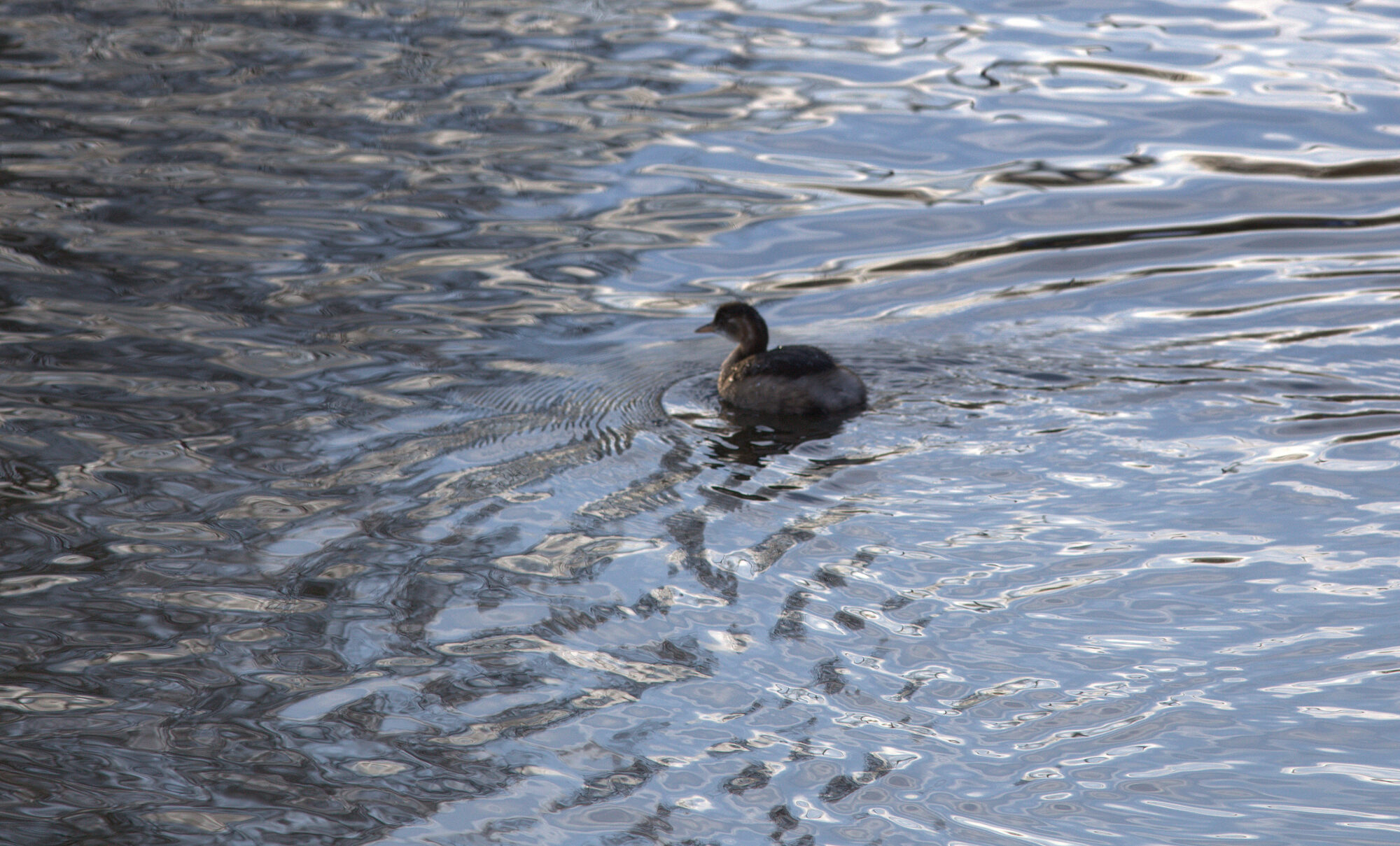 Valokuvaaja: tapio keinonen