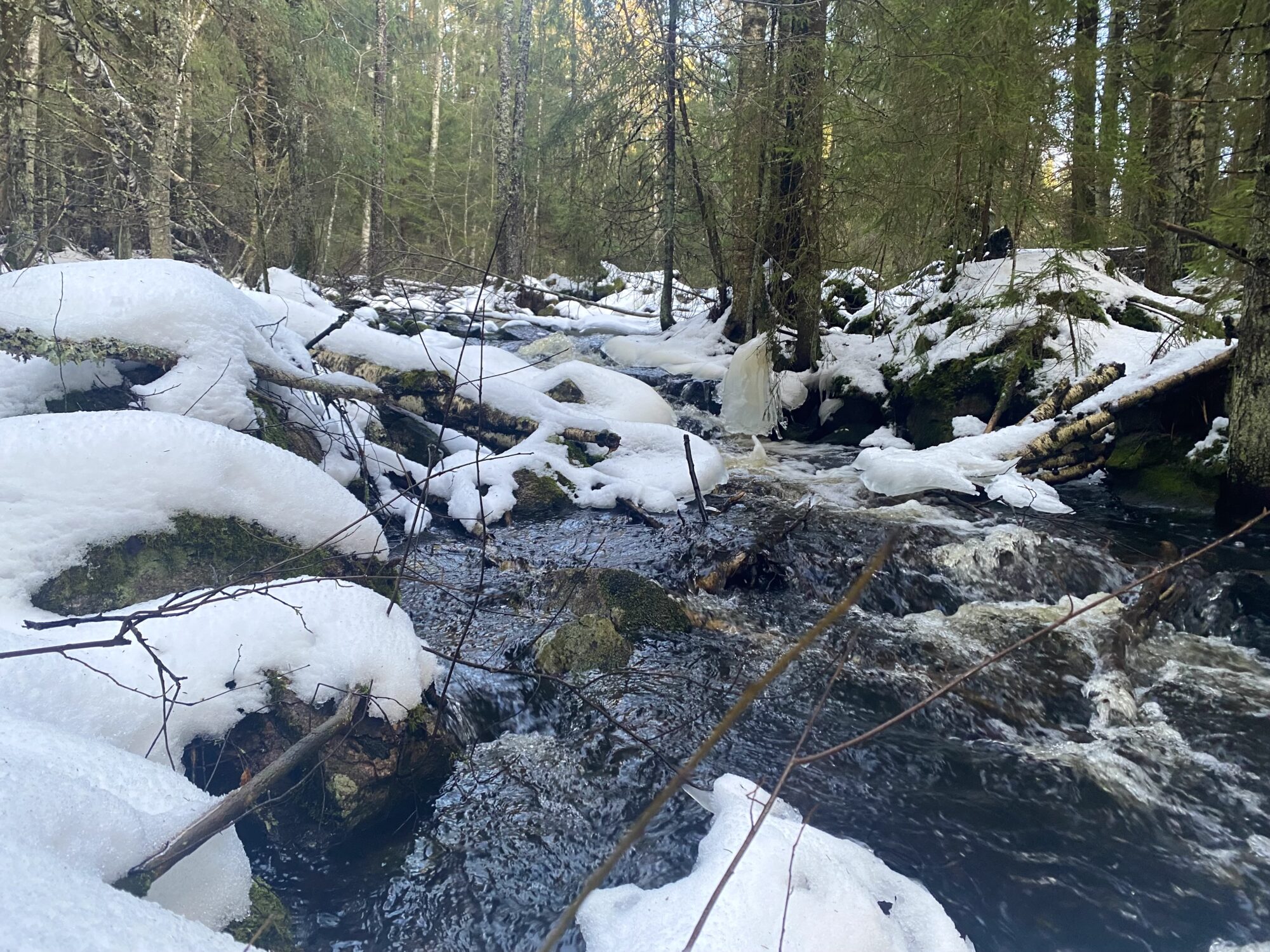 Valokuvaaja: Markku Ranta-Eilola