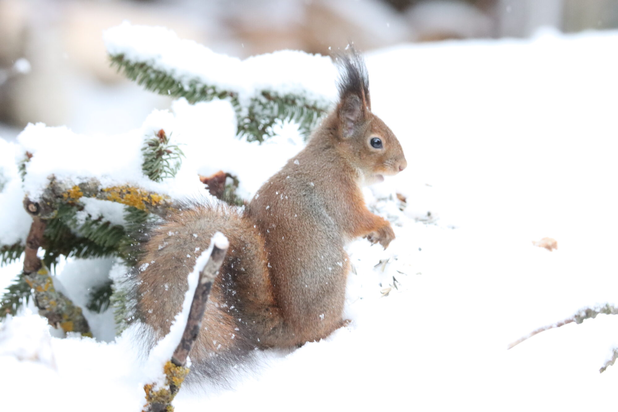 Valokuvaaja: Irja Lehtinen