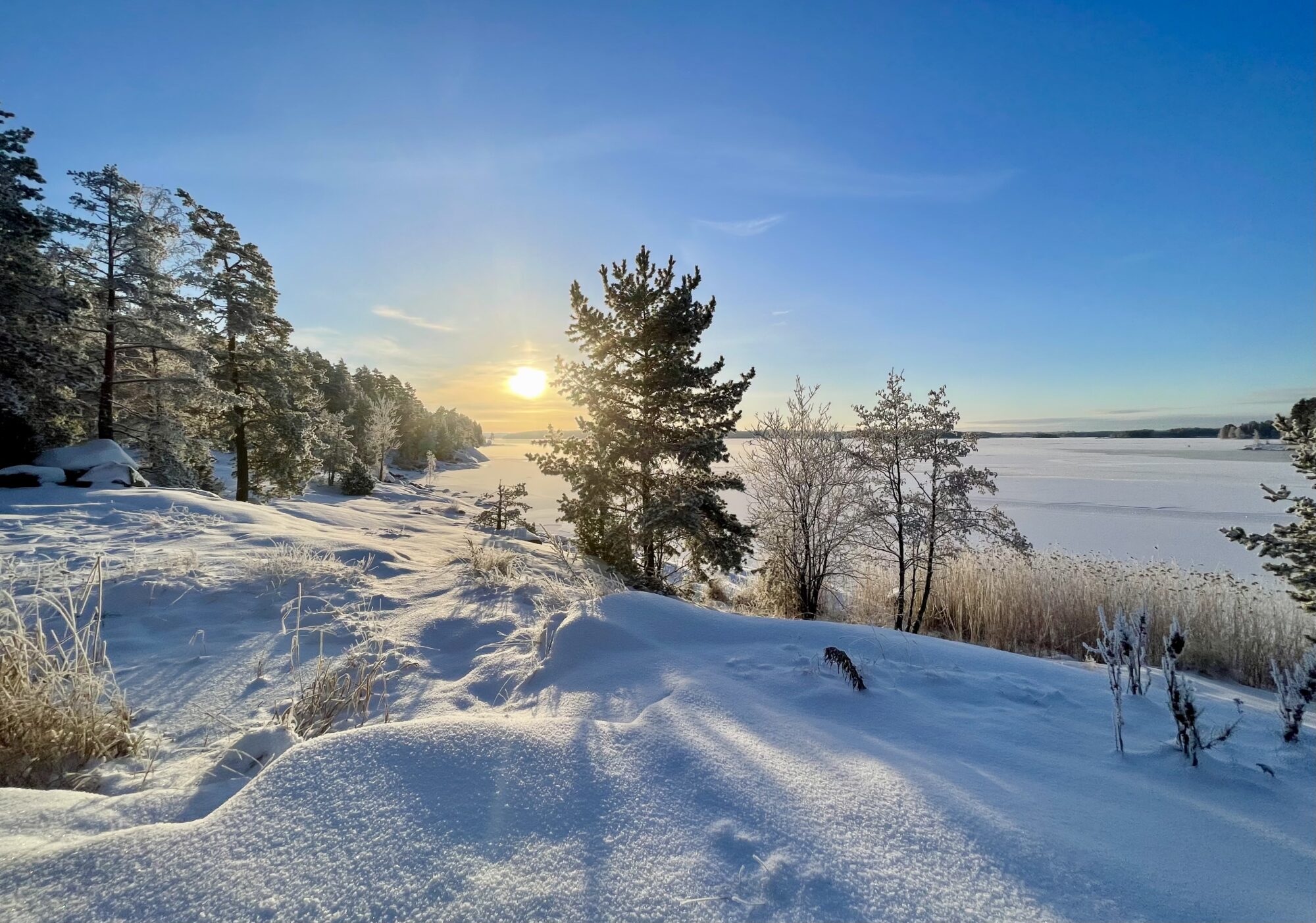 Valokuvaaja: Liisa Niiva-Korpela