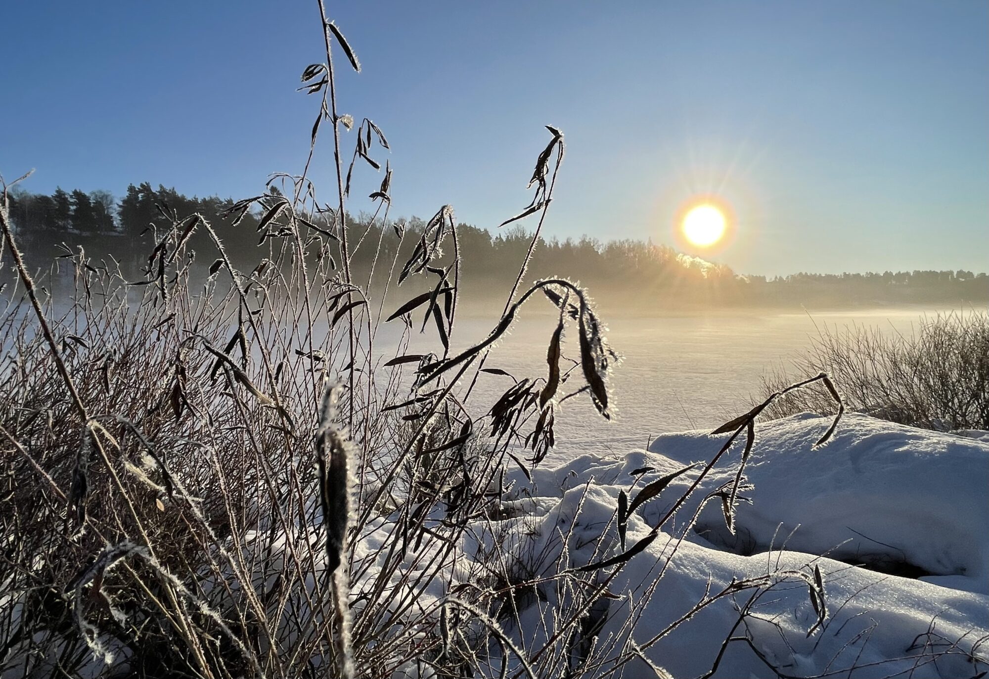 Valokuvaaja: Liisa Niiva-Korpela