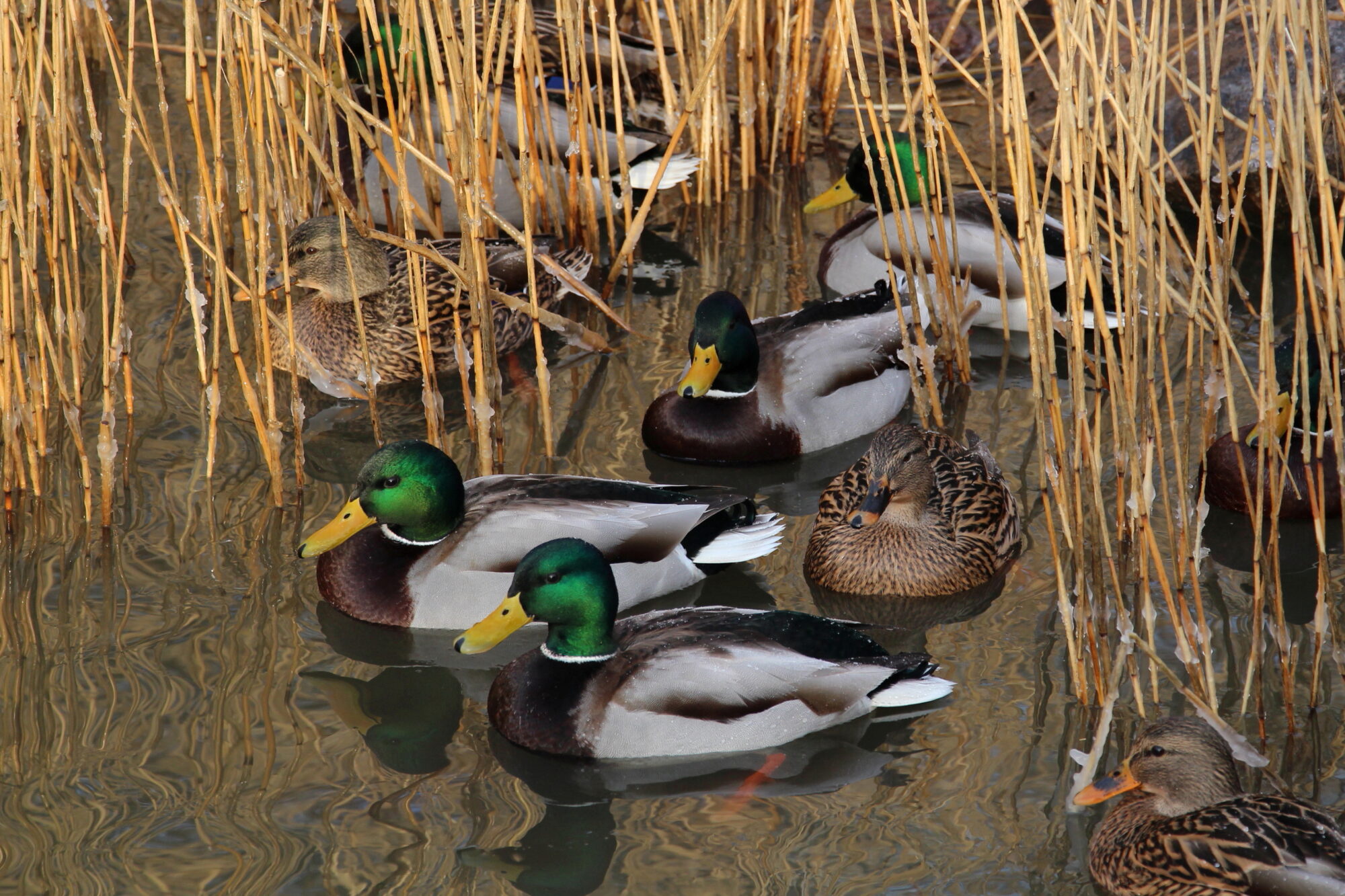 Valokuvaaja: Kirsi-Marja Joenpolvi