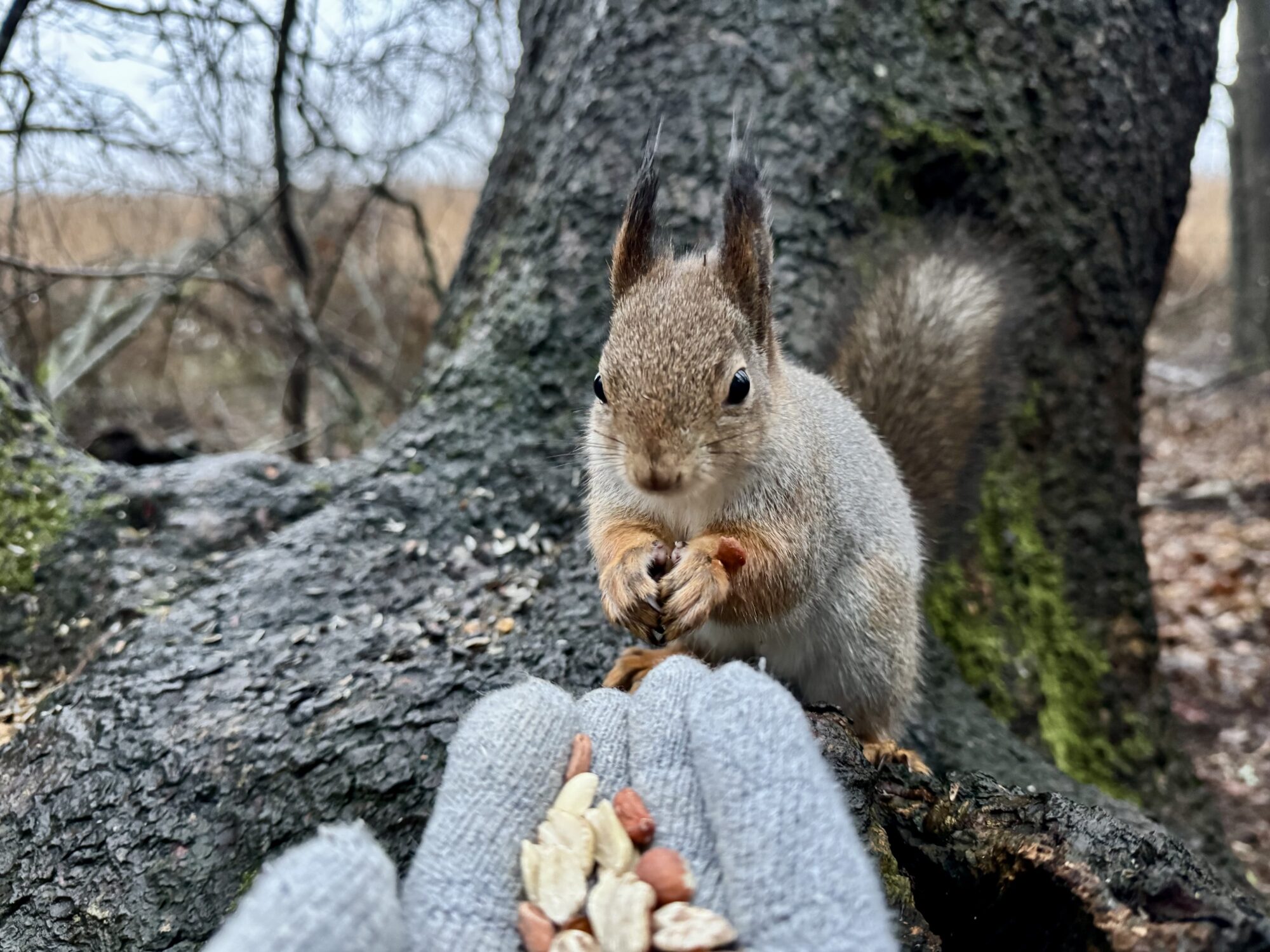Valokuvaaja: Juhani Peltonen