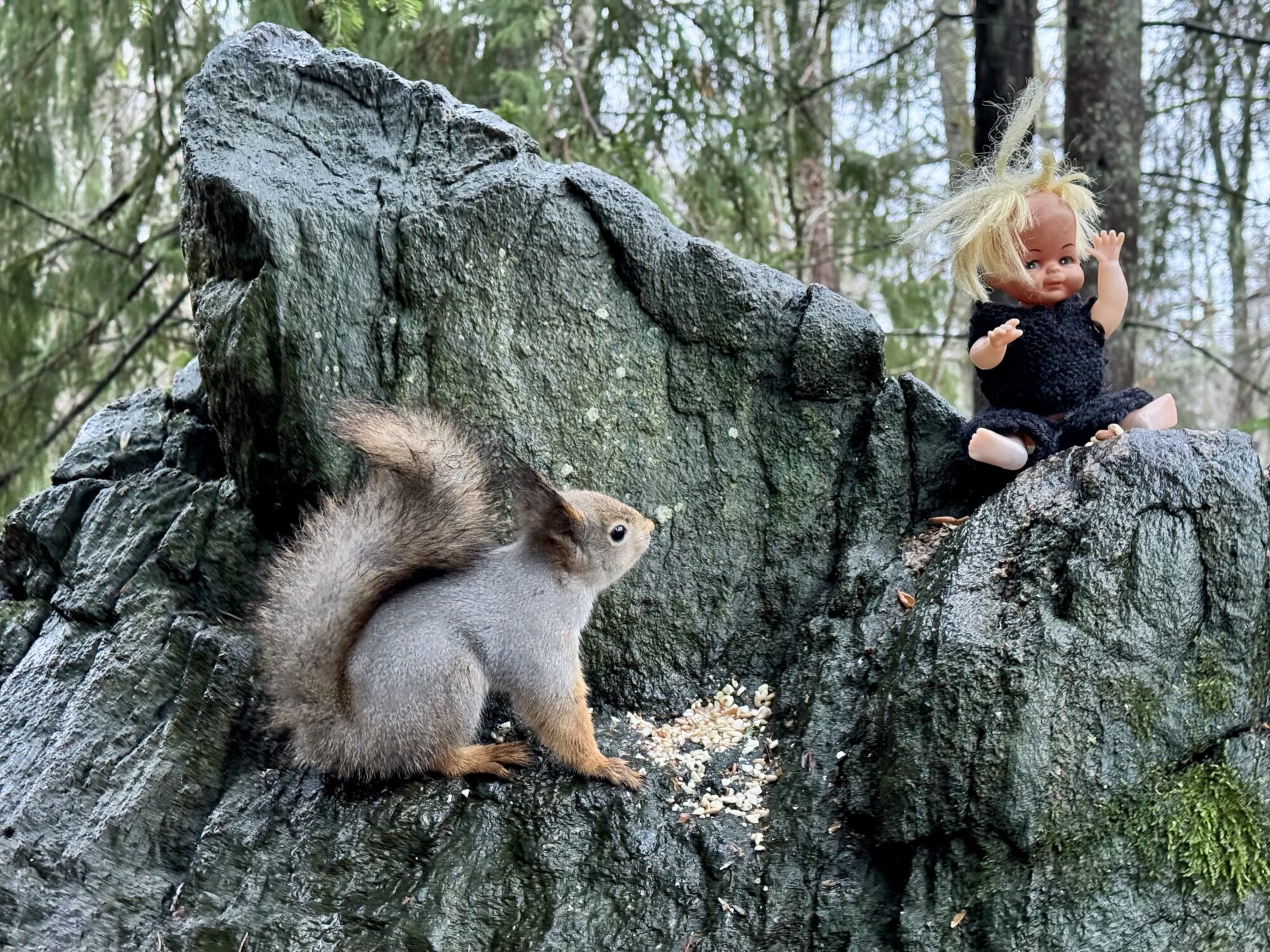 Valokuvaaja: Juhani Peltonen