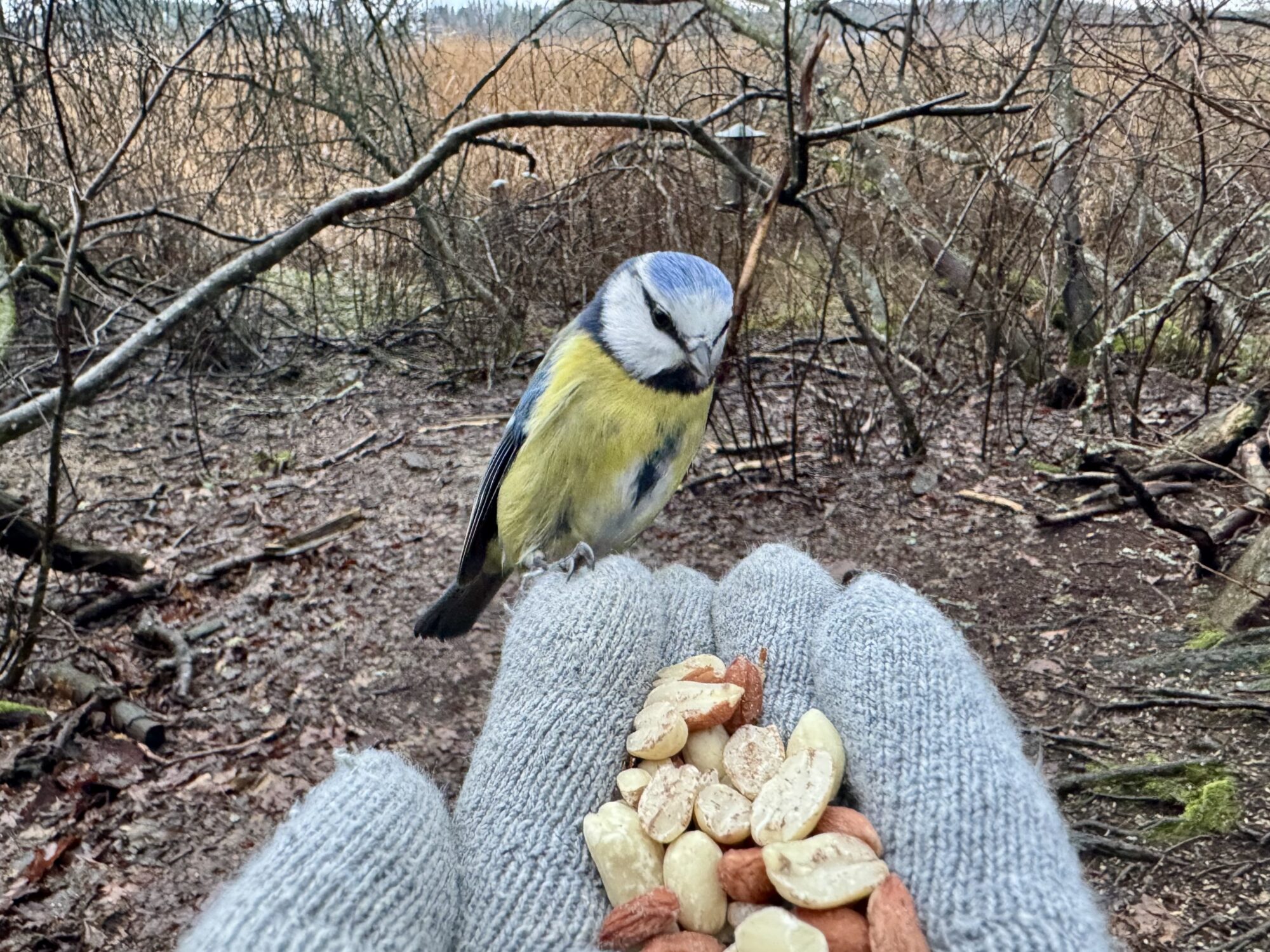 Valokuvaaja: Juhani Peltonen