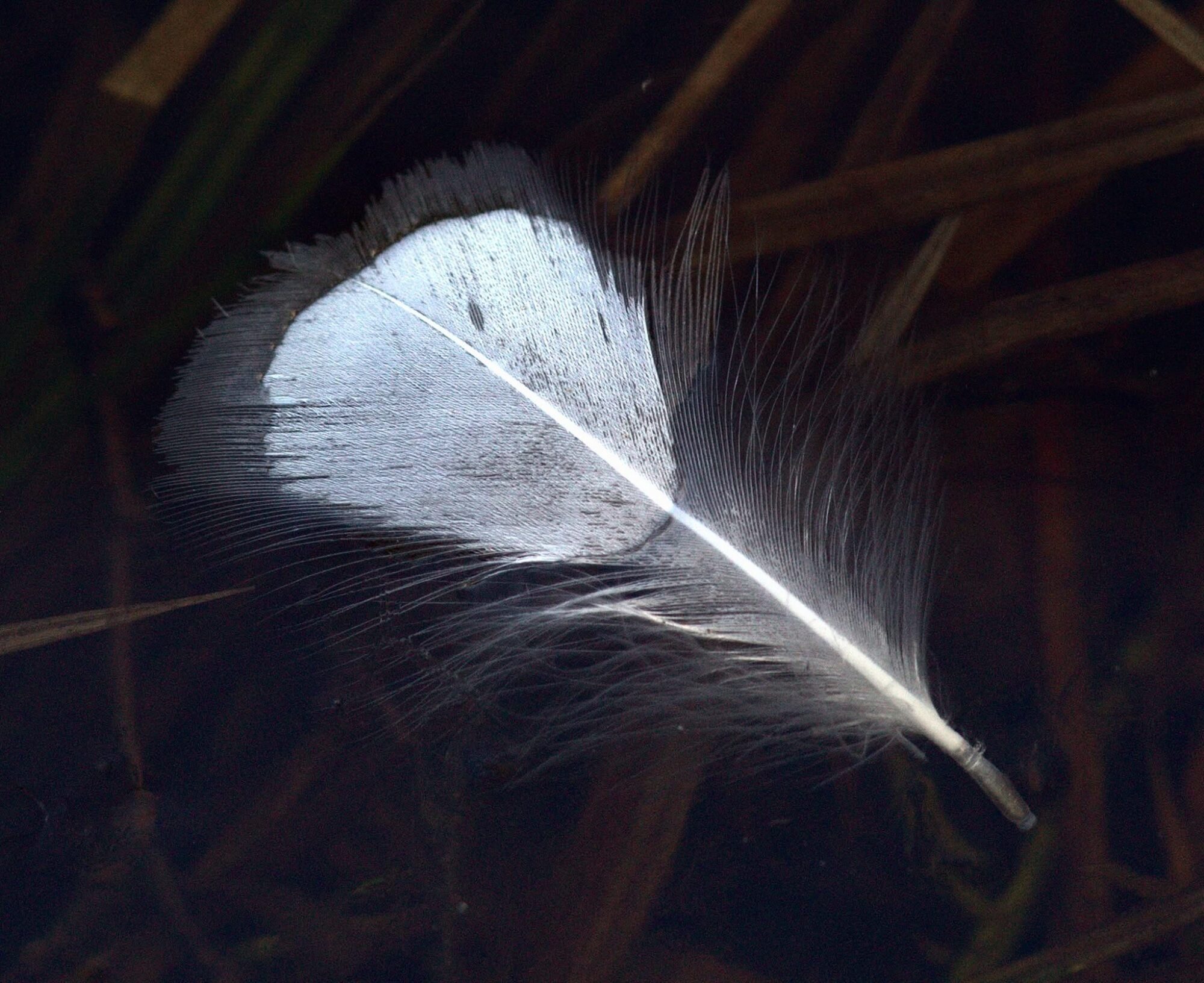 Valokuvaaja: Tapio Keinonen