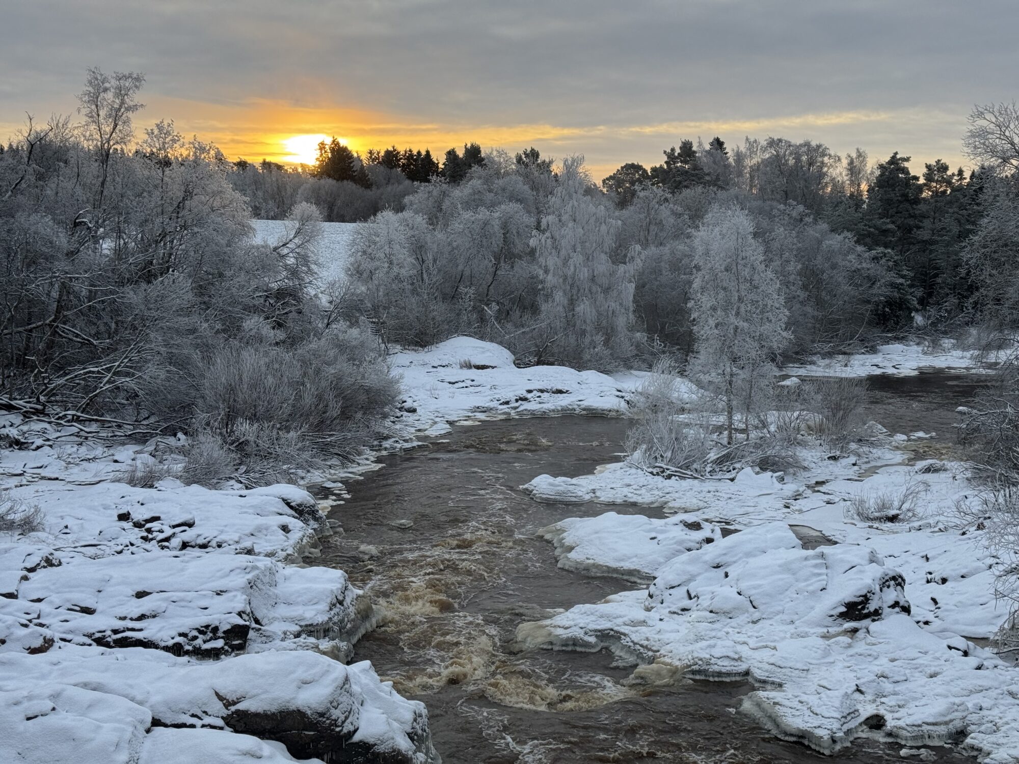 Valokuvaaja: Juhani Peltonen
