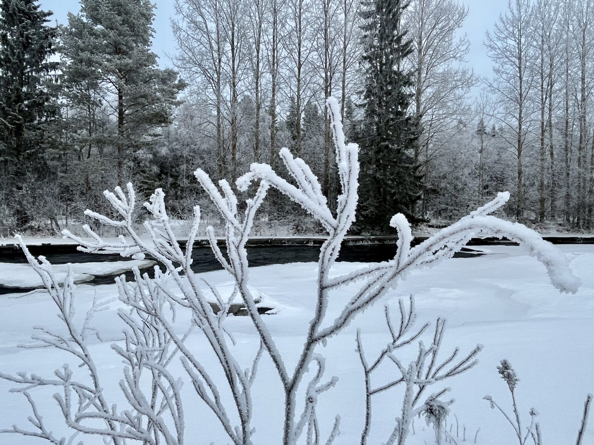Valokuvaaja: Tuukka Pahtamaa