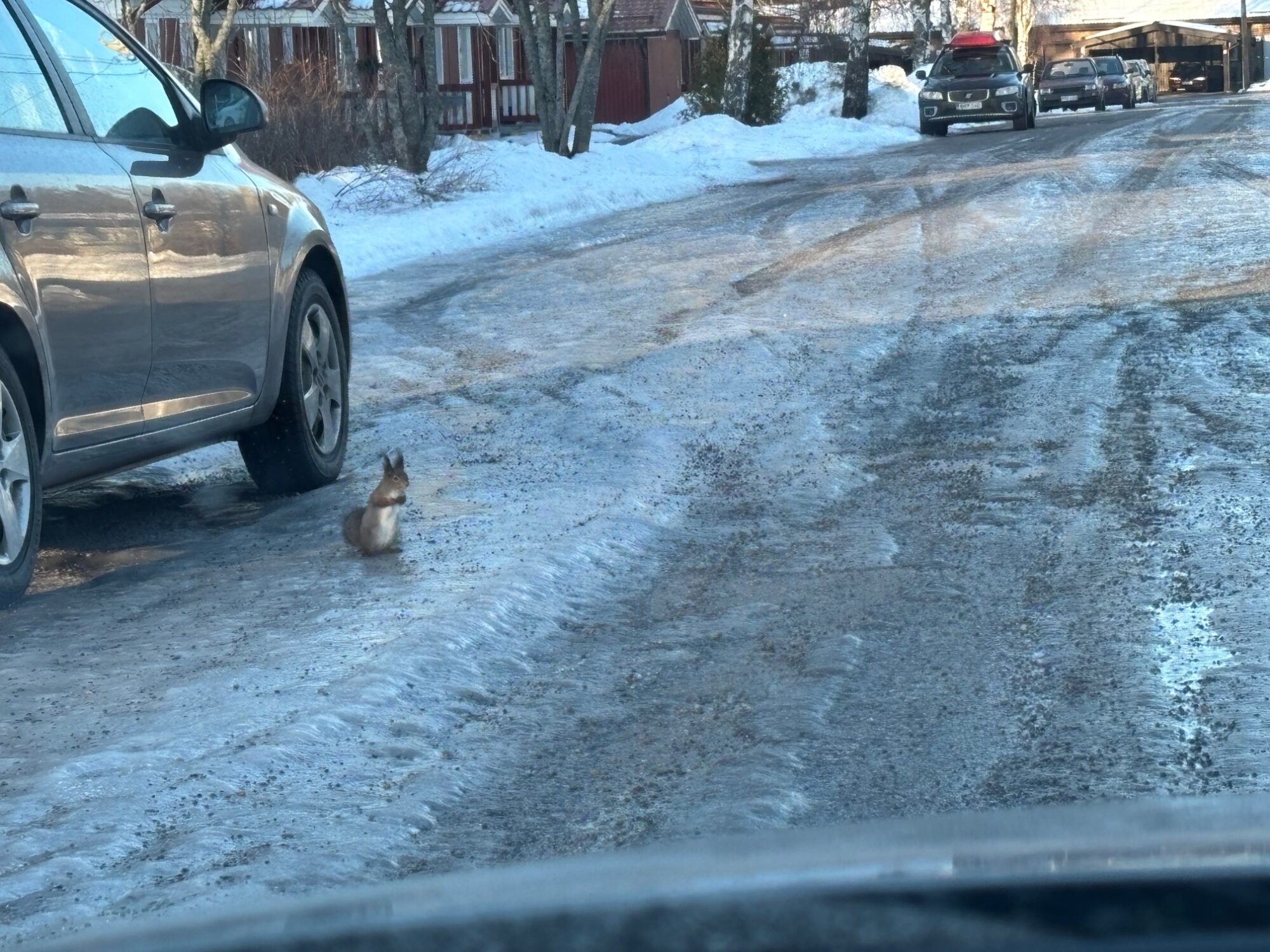 Valokuvaaja: Jari Kivelä