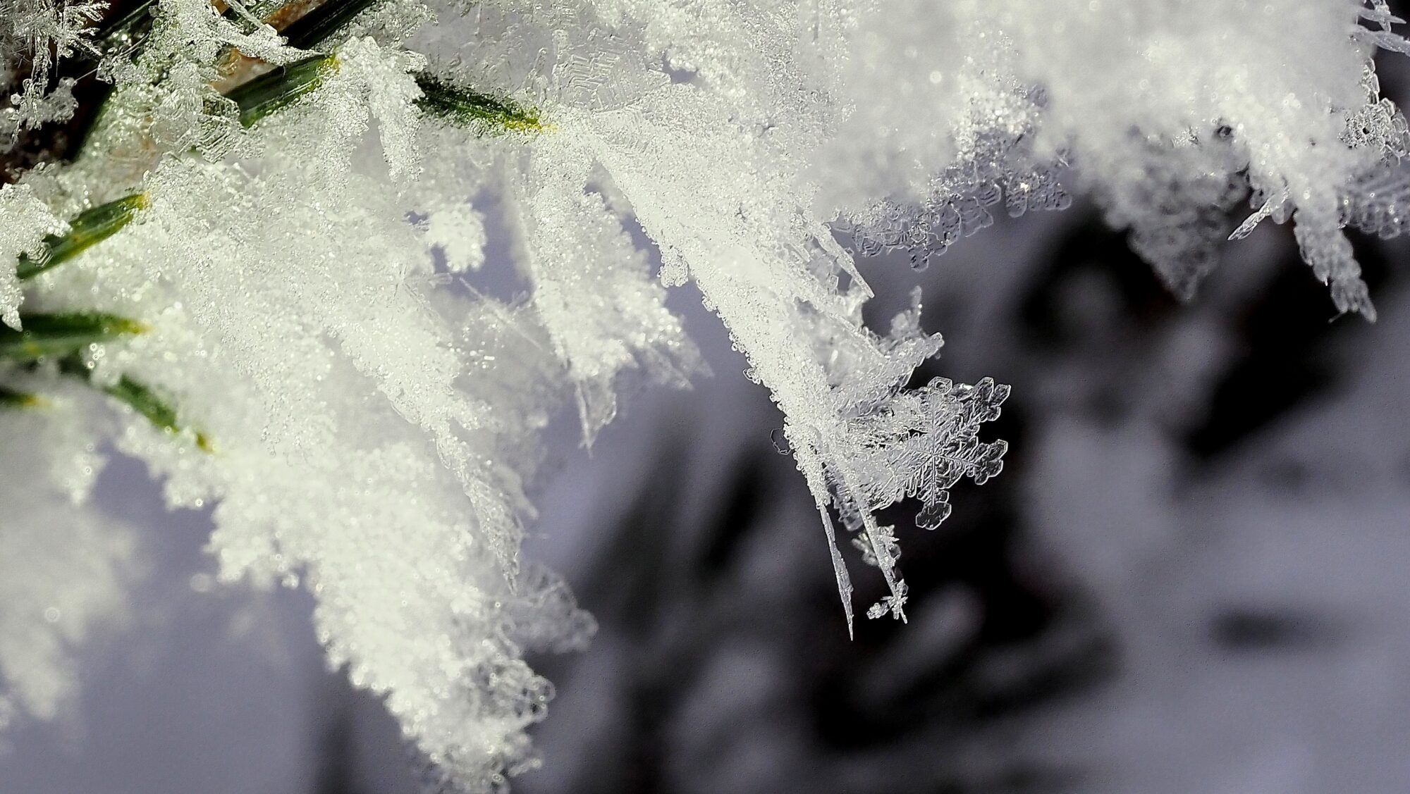 Valokuvaaja: Arja Valtonen