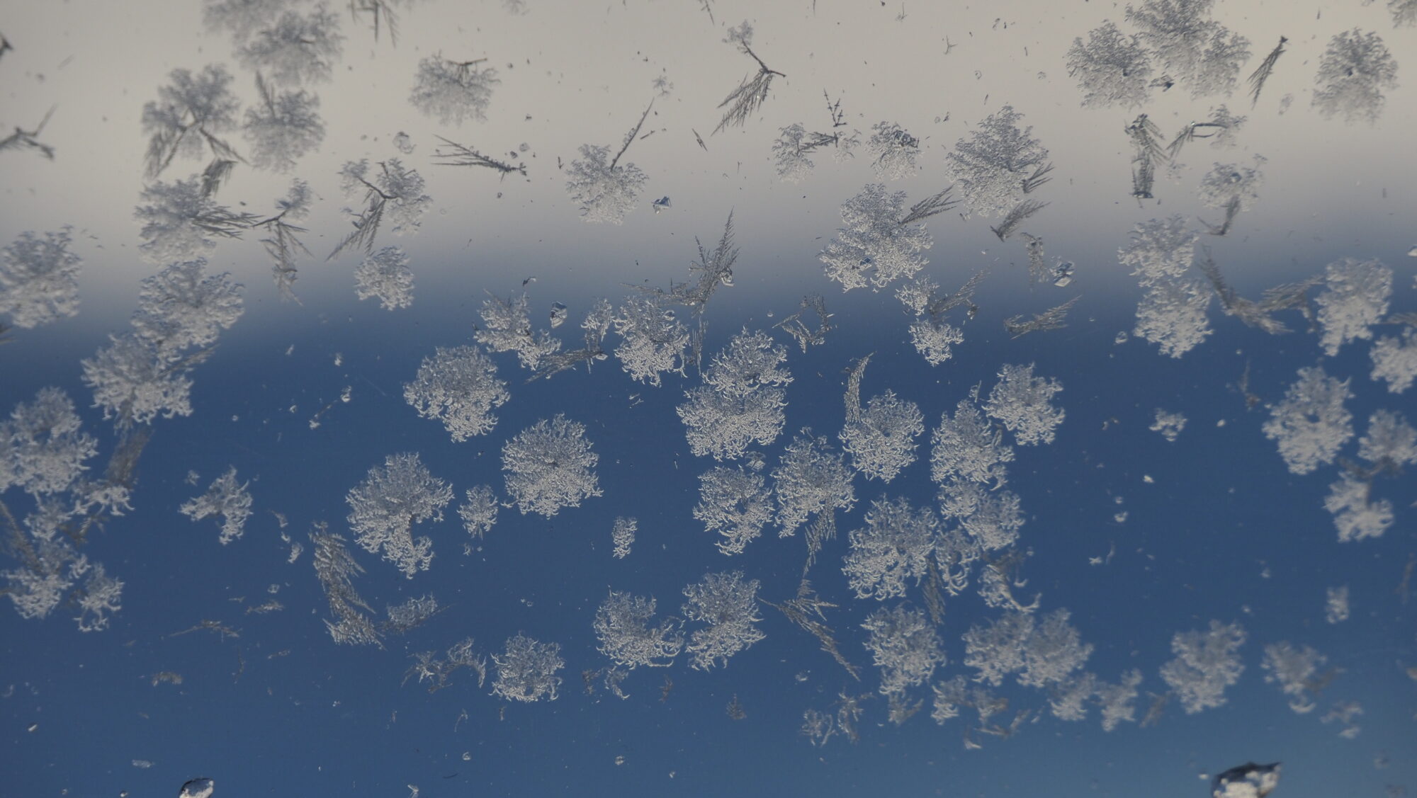 Valokuvaaja: Arja Valtonen