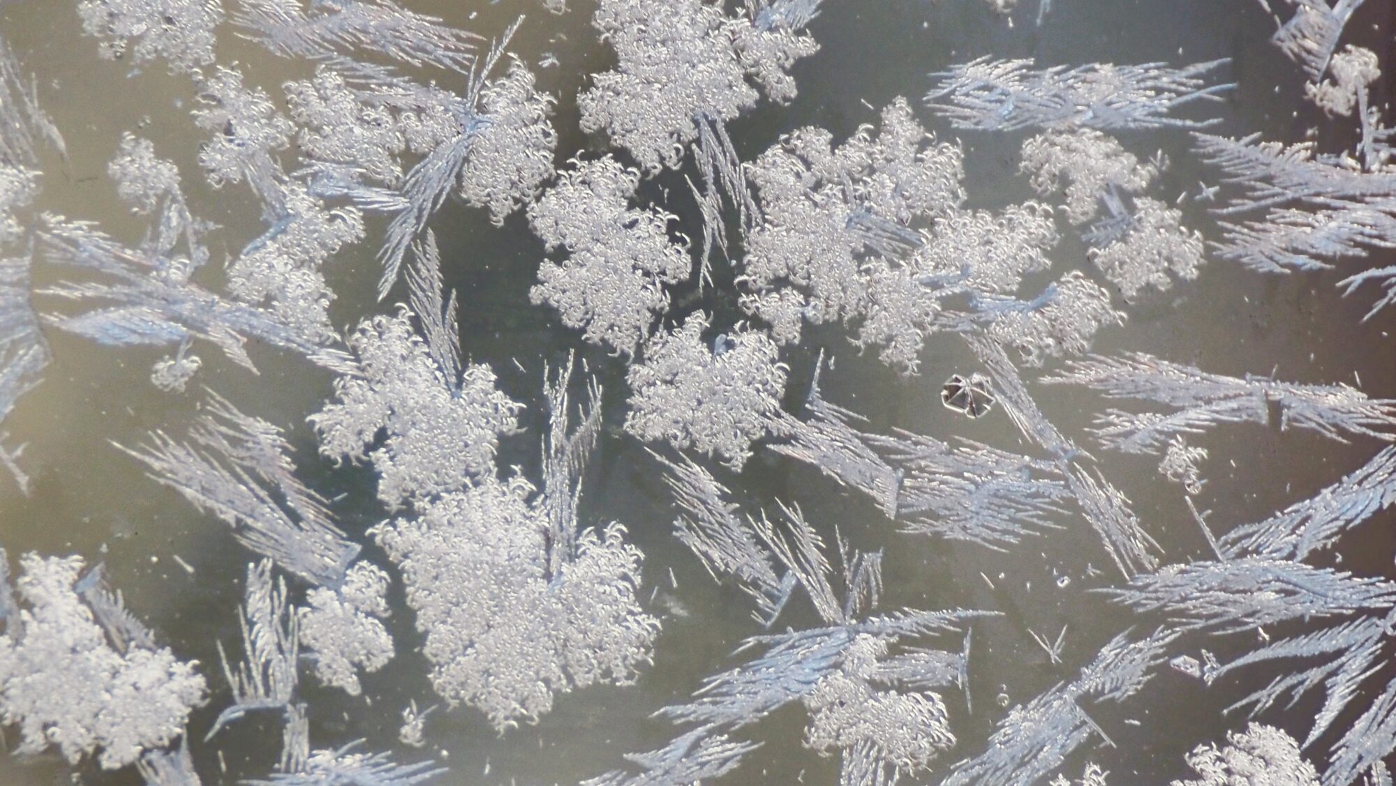 Valokuvaaja: Arja Valtonen Valokuvaaja: Arja Valtonen