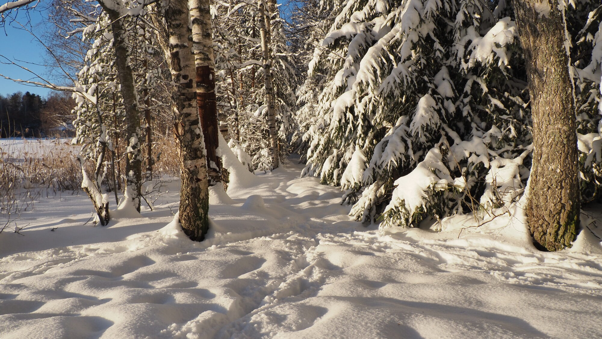Valokuvaaja: Arja Valtonen
