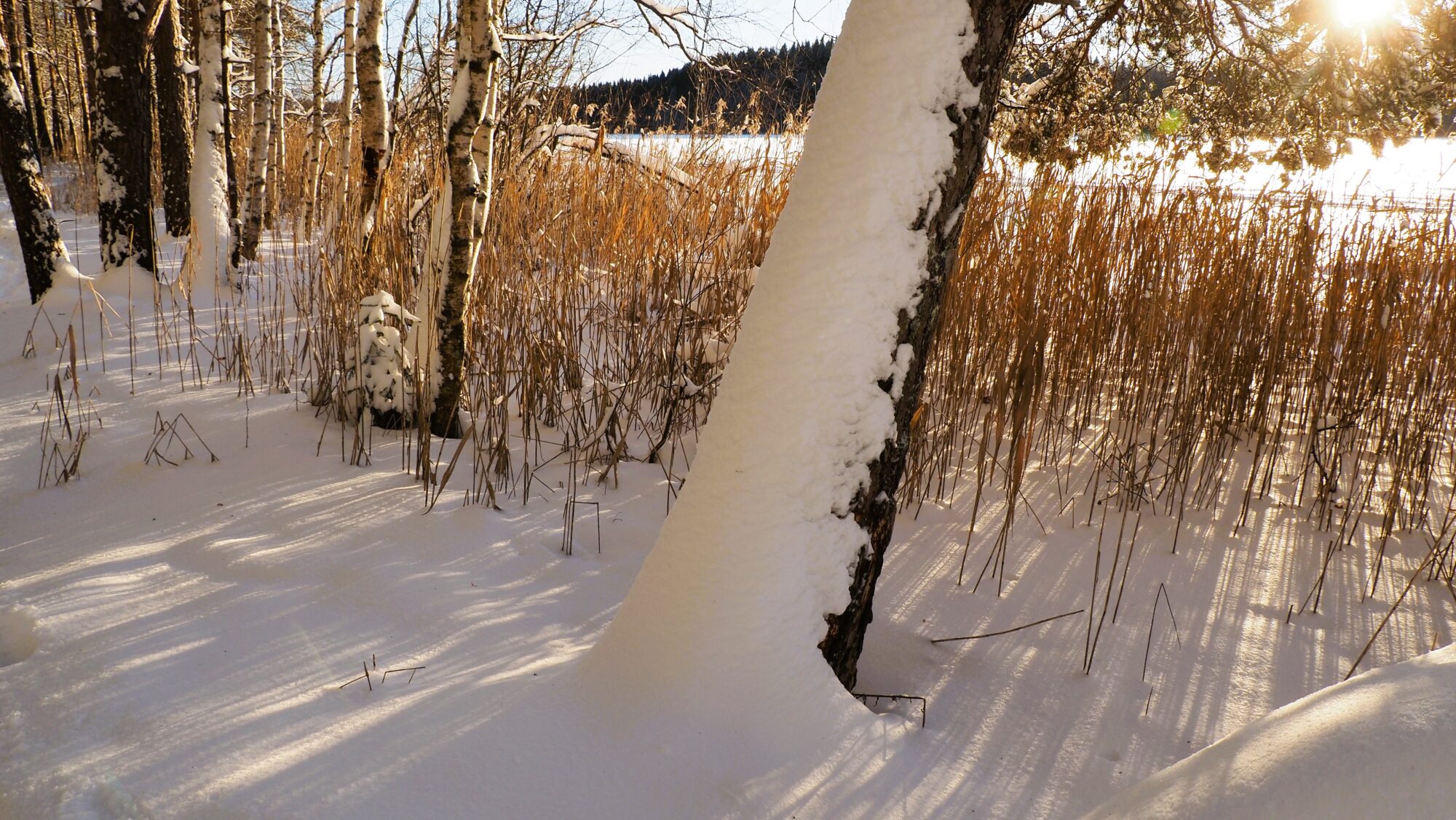 Valokuvaaja: Arja Valtonen