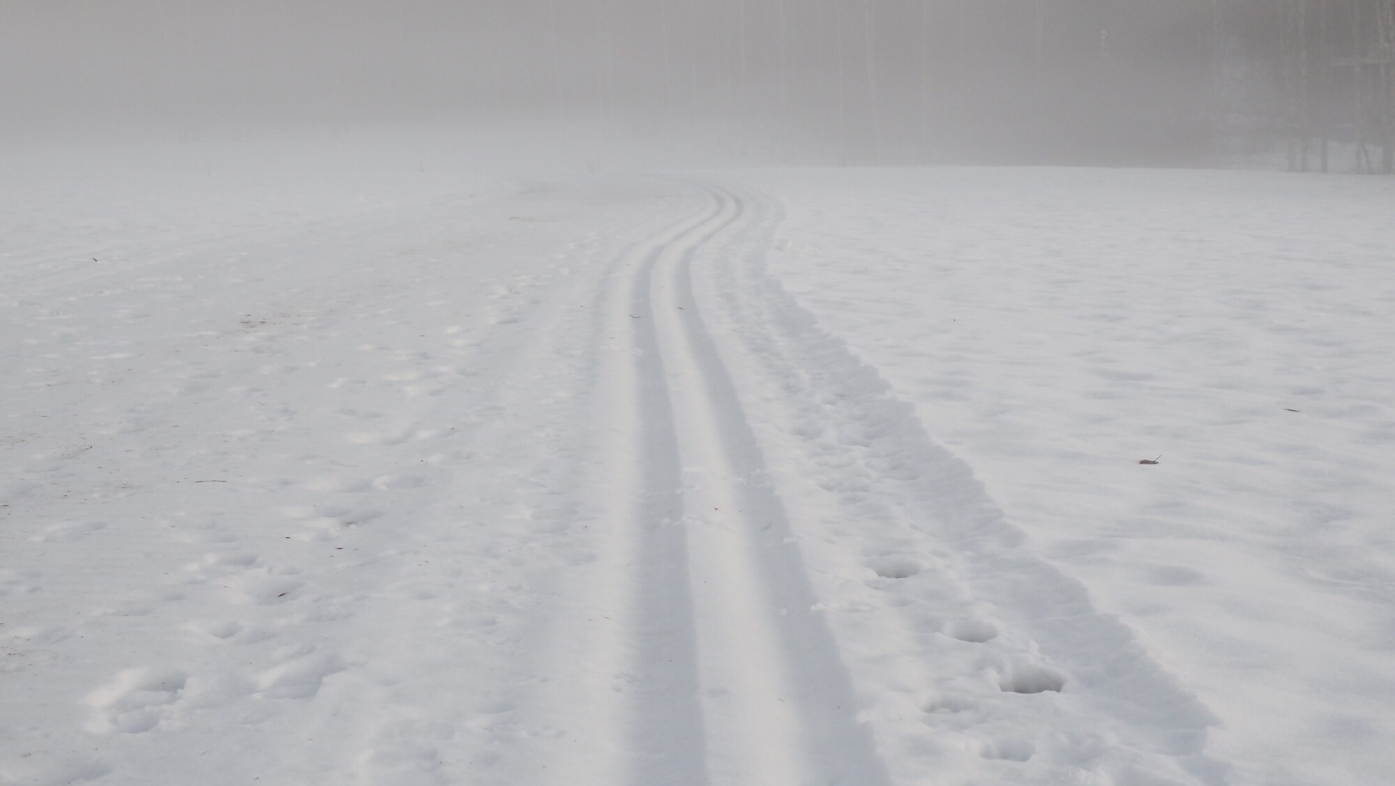 Valokuvaaja: Arja Valtonen