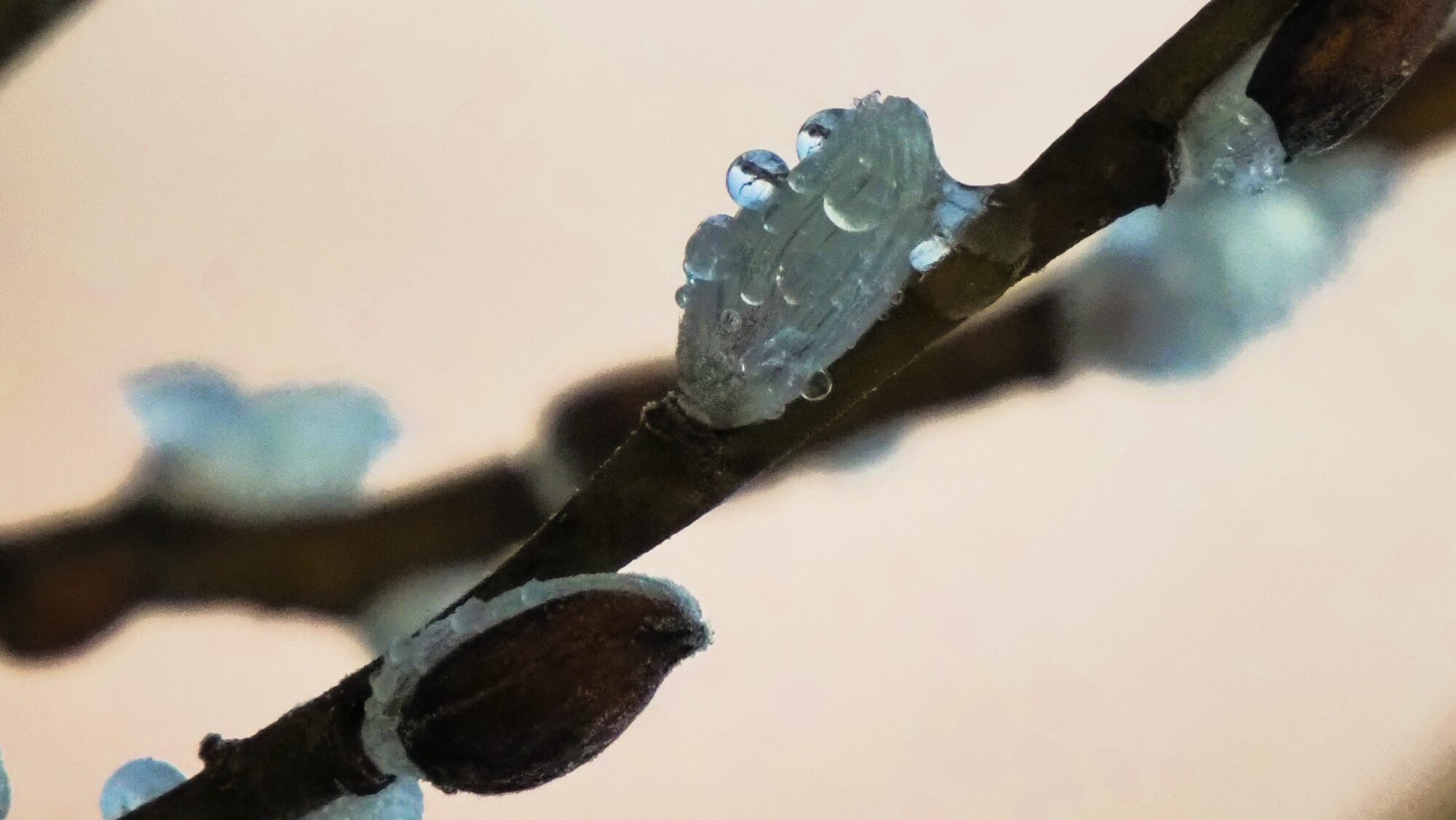 Valokuvaaja: Arja Valtonen