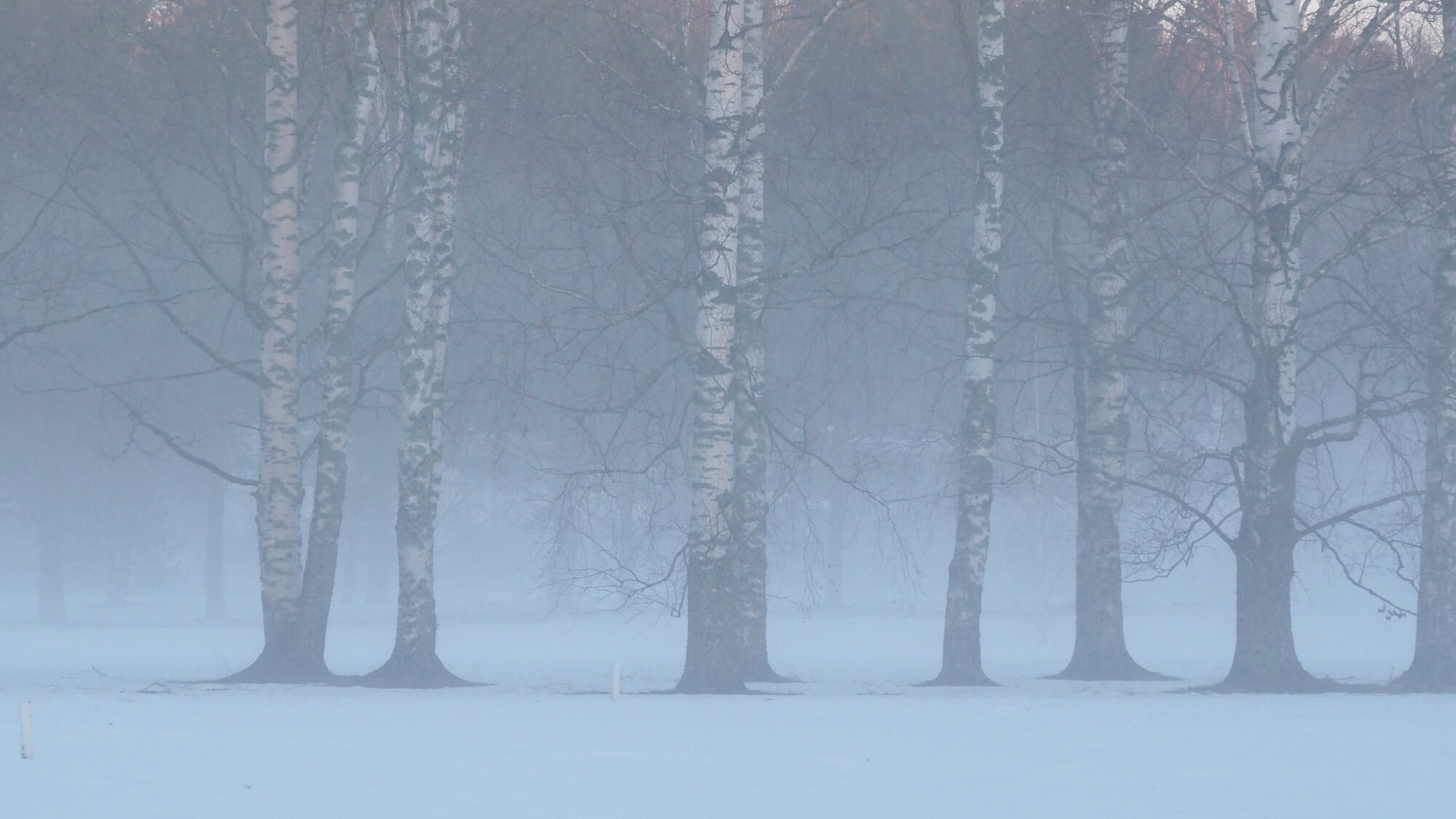 Valokuvaaja: Martti Valtonen