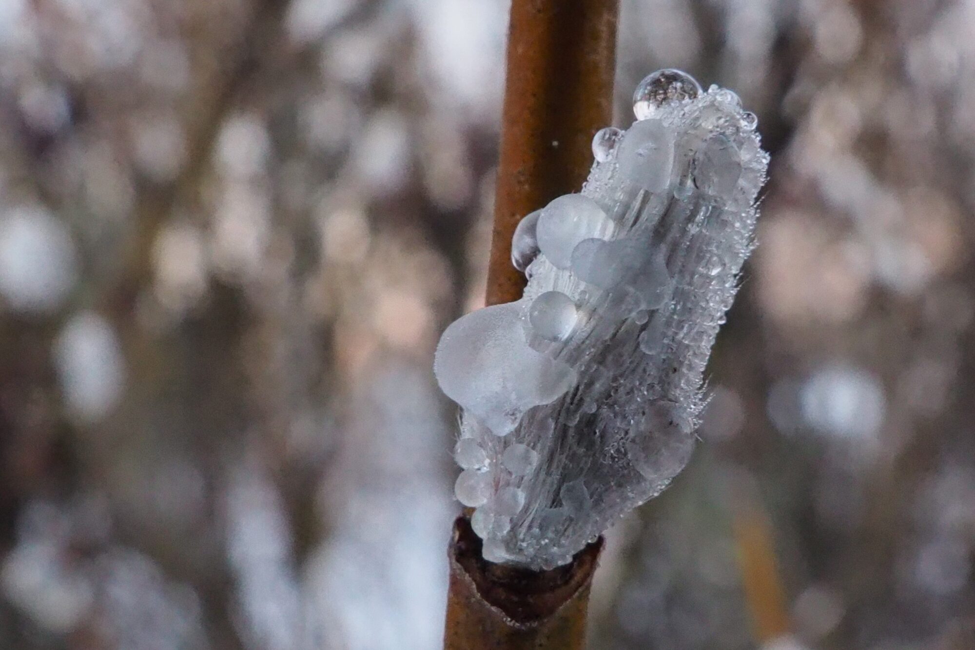 Valokuvaaja: Martti Valtonen