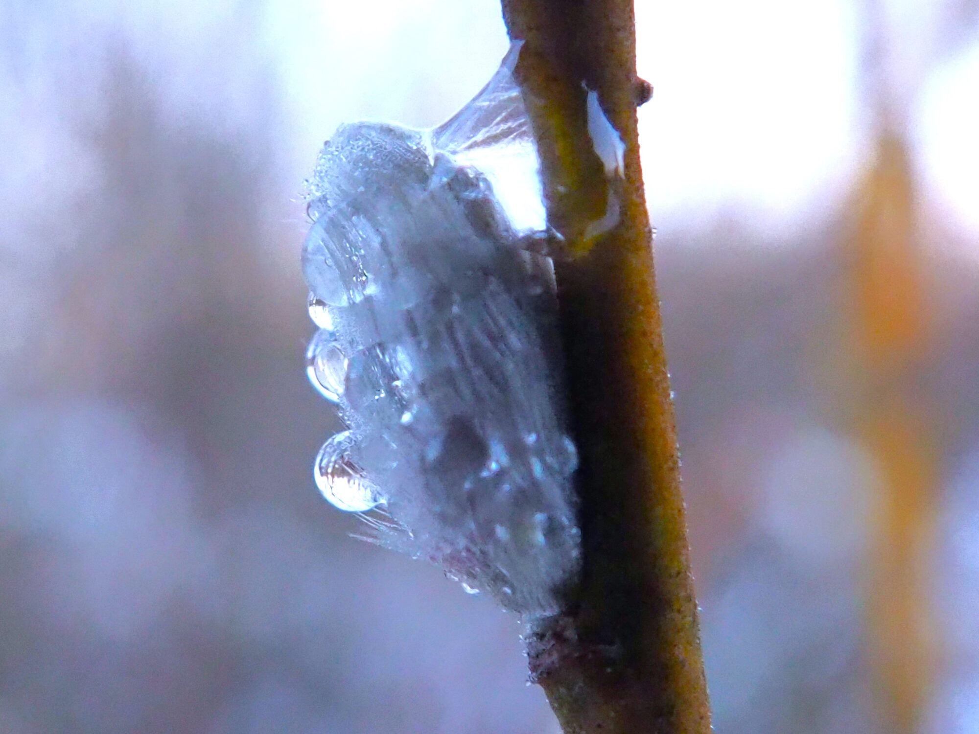 Valokuvaaja: Martti Valtonen