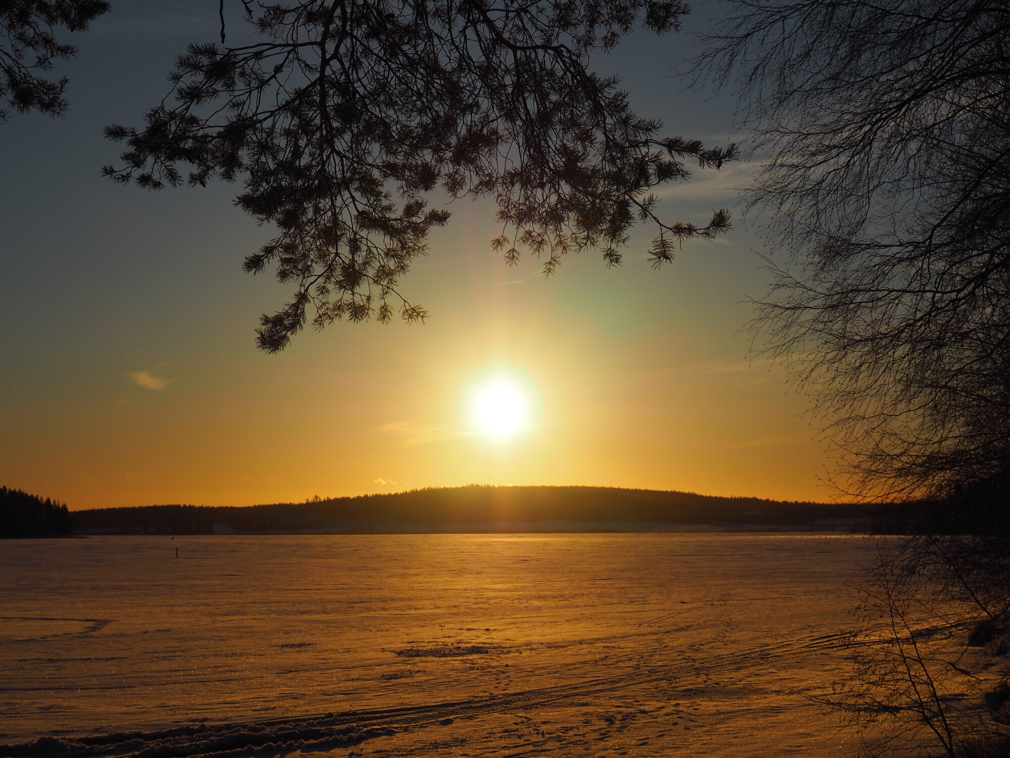 Valokuvaaja: Toni Asikainen