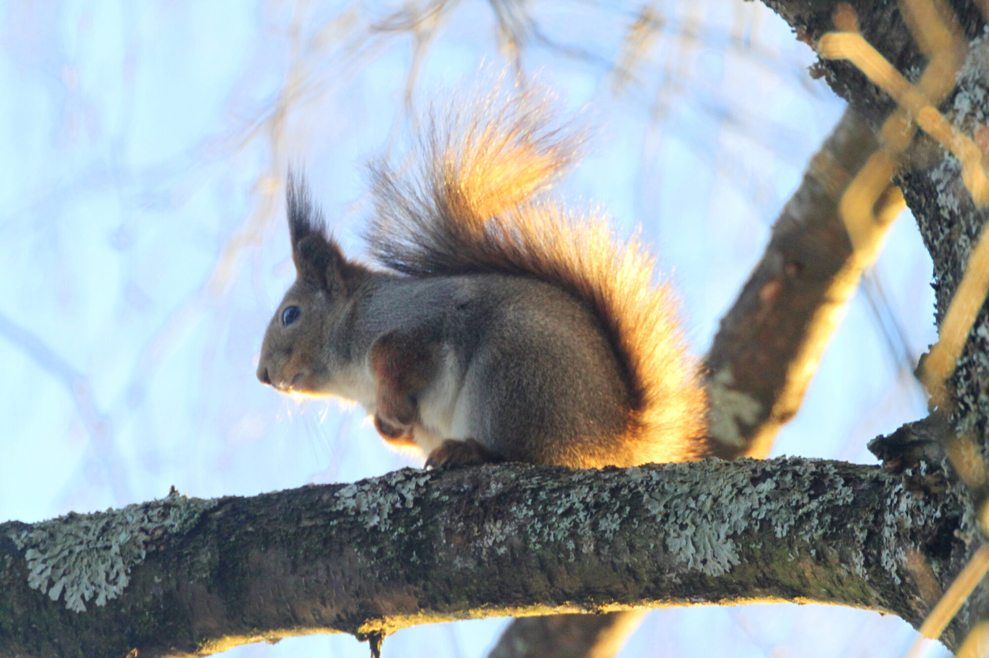 Valokuvaaja: Kaarlo Asikainen