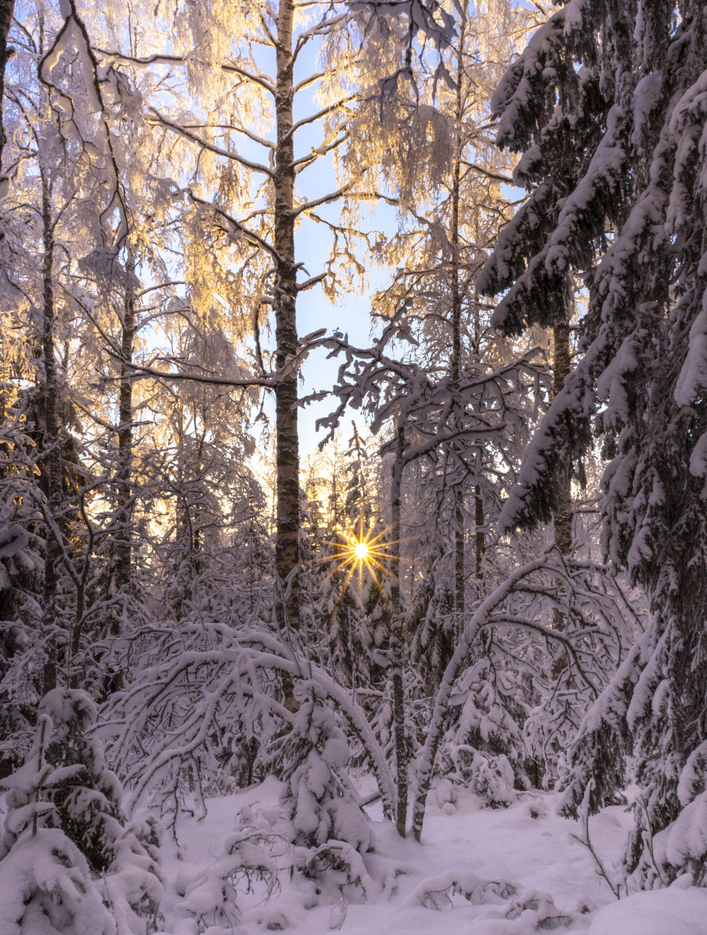 Valokuvaaja: Hannu Tikkanen