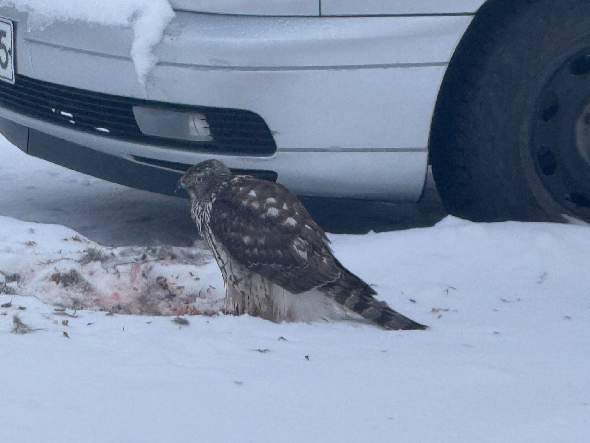 Valokuvaaja: Maija Sieppi