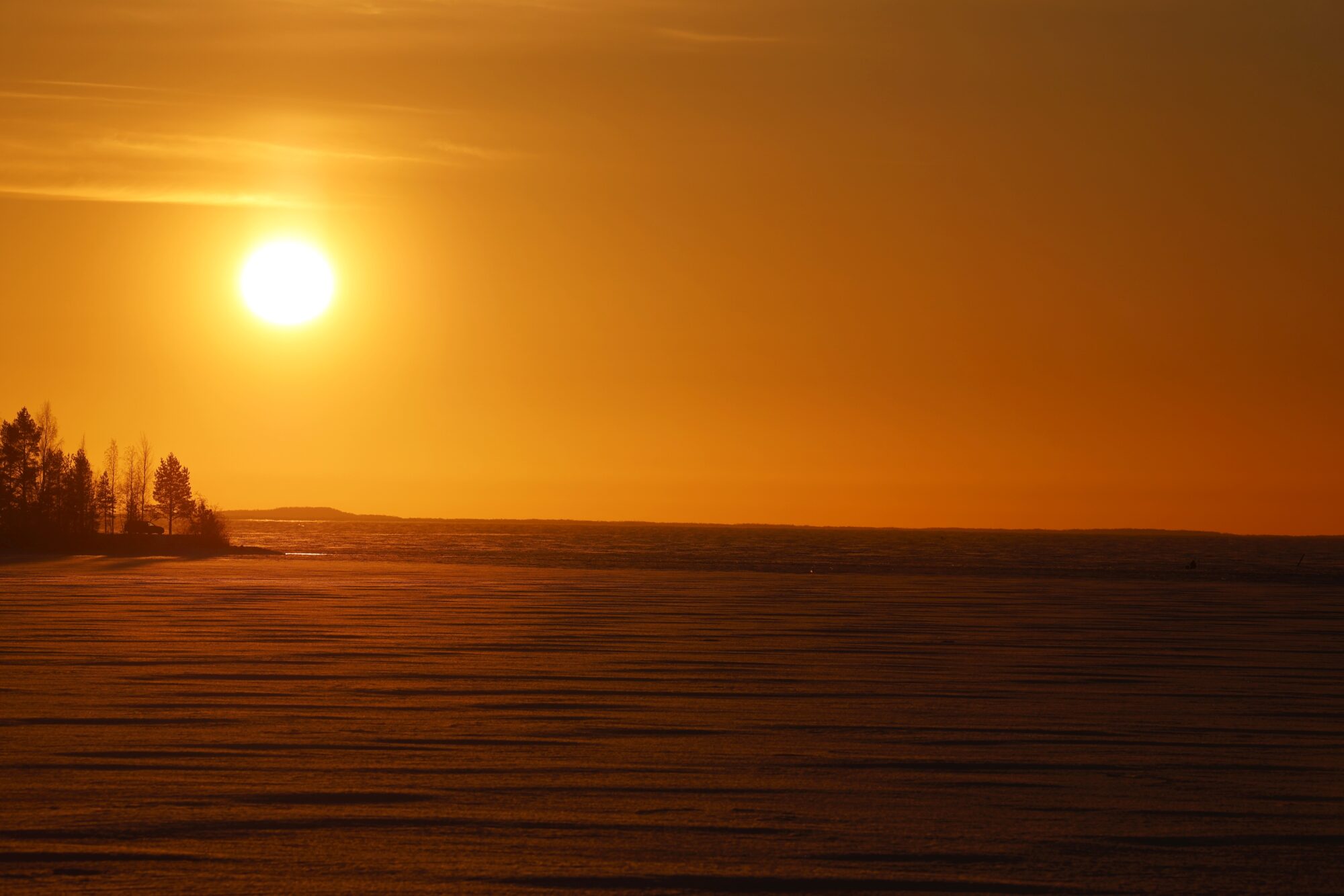 Valokuvaaja: Jaana Saarelainen