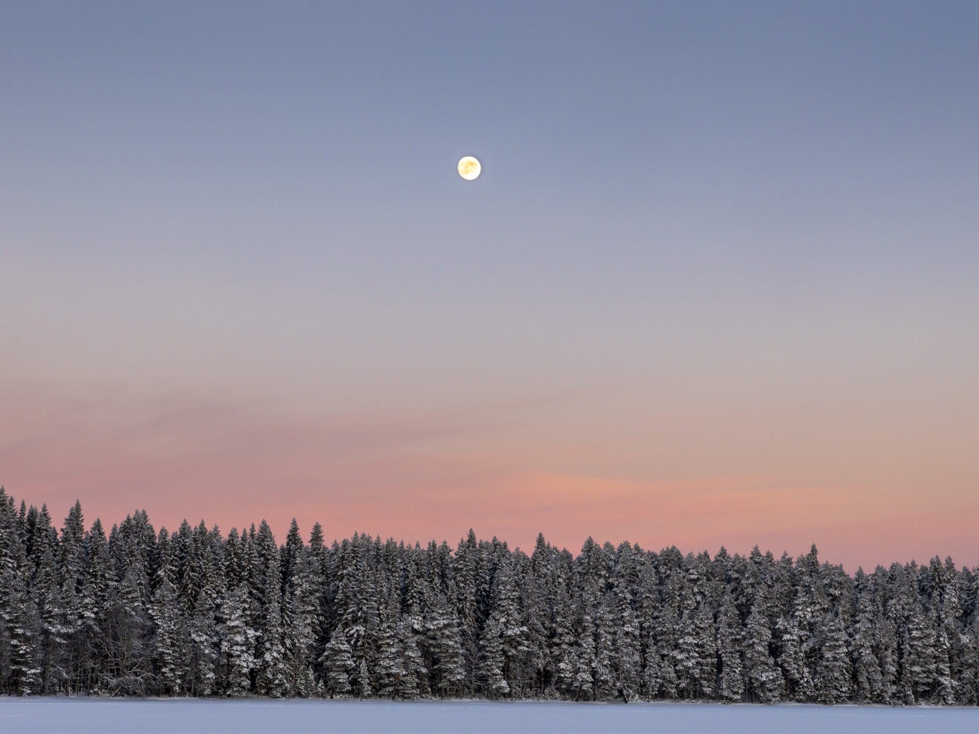 Valokuvaaja: Hannu Tikkanen