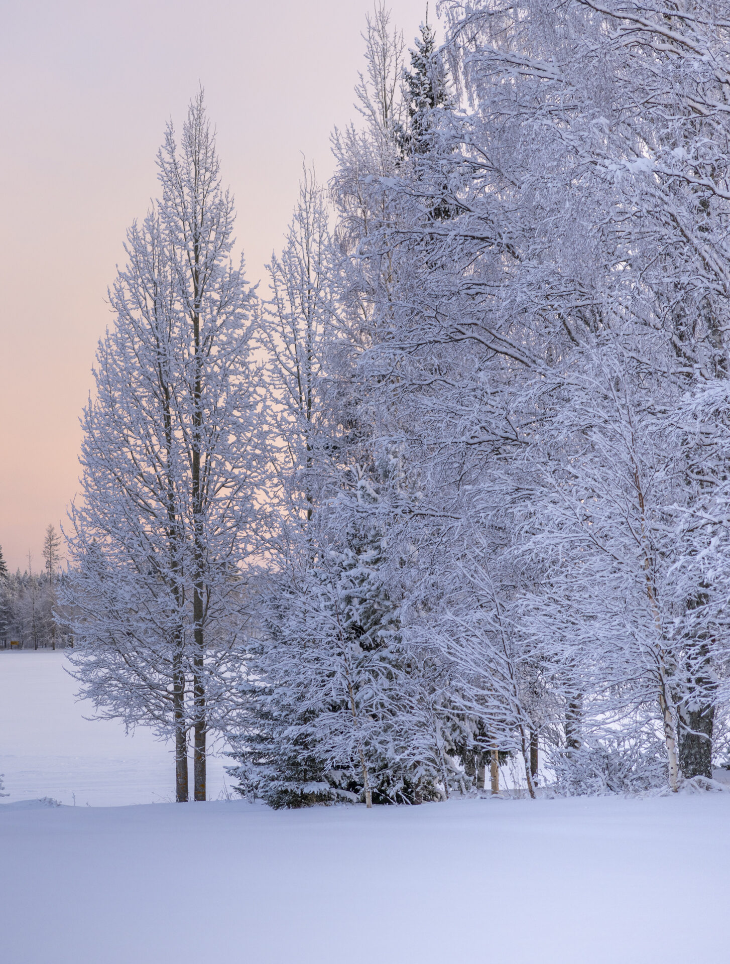 Valokuvaaja: Hannu Tikkanen Valokuvaaja: Hannu Tikkanen