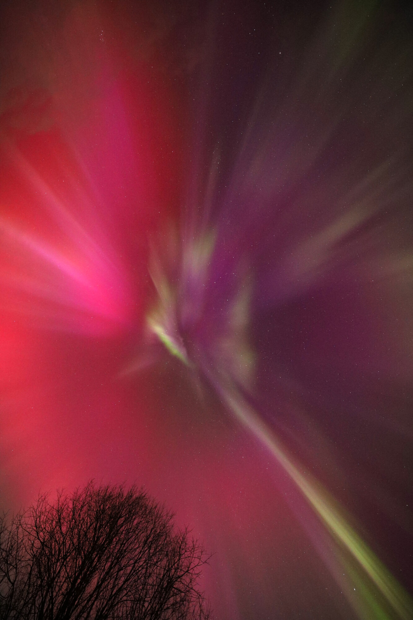 Valokuvaaja: Marko Myllyniemi